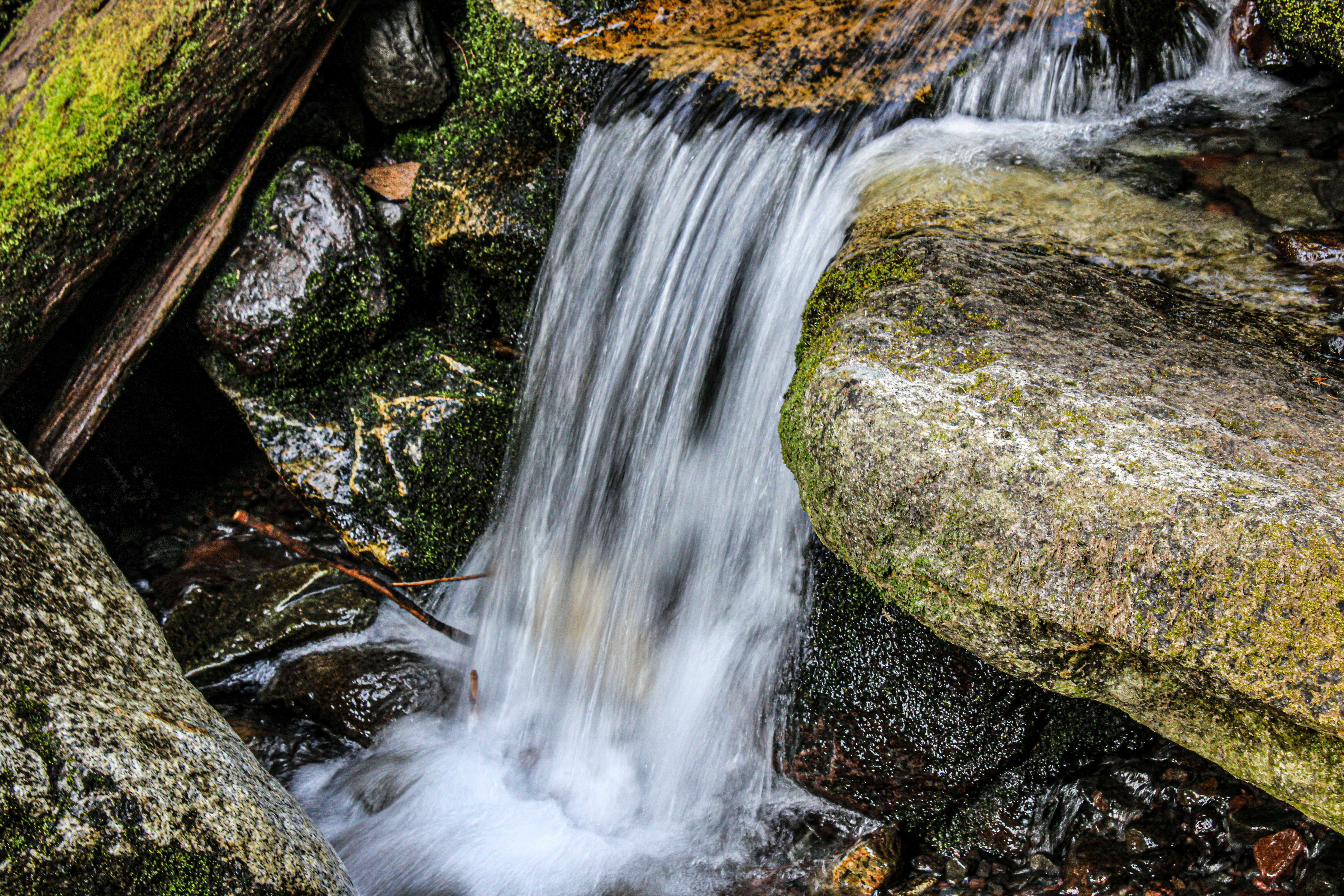 Photo by prphotography262