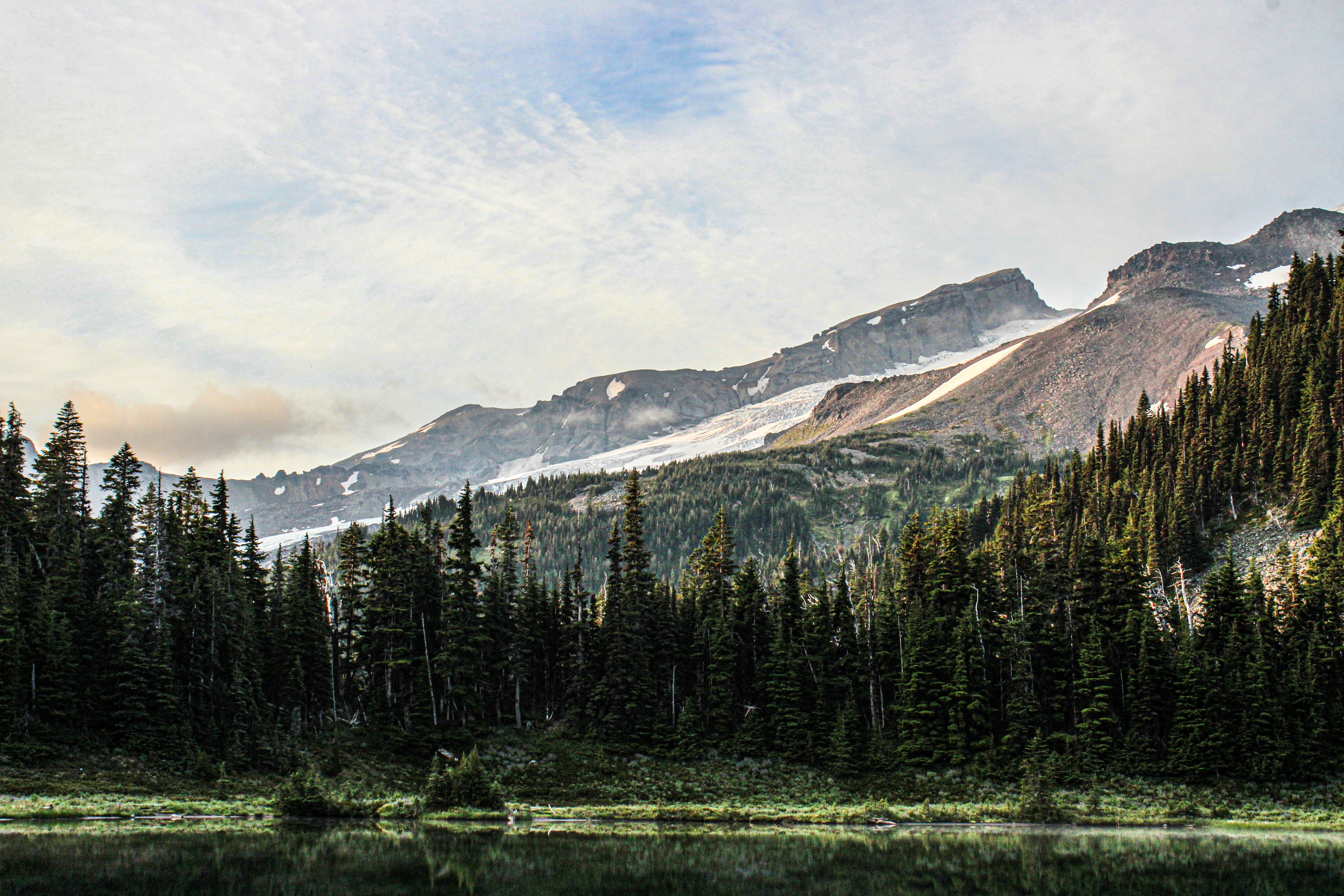 Photo by prphotography262