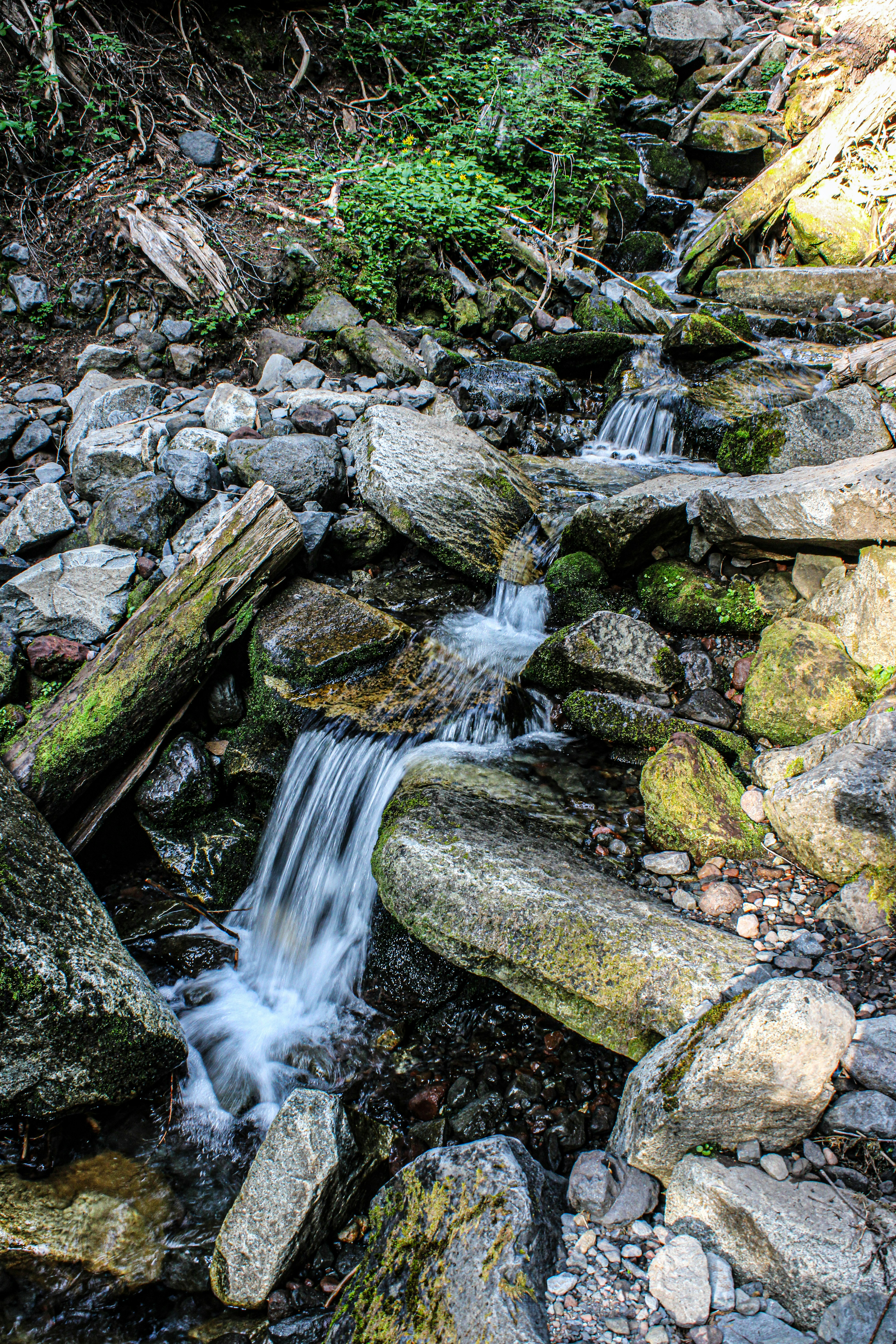 Photo by prphotography262