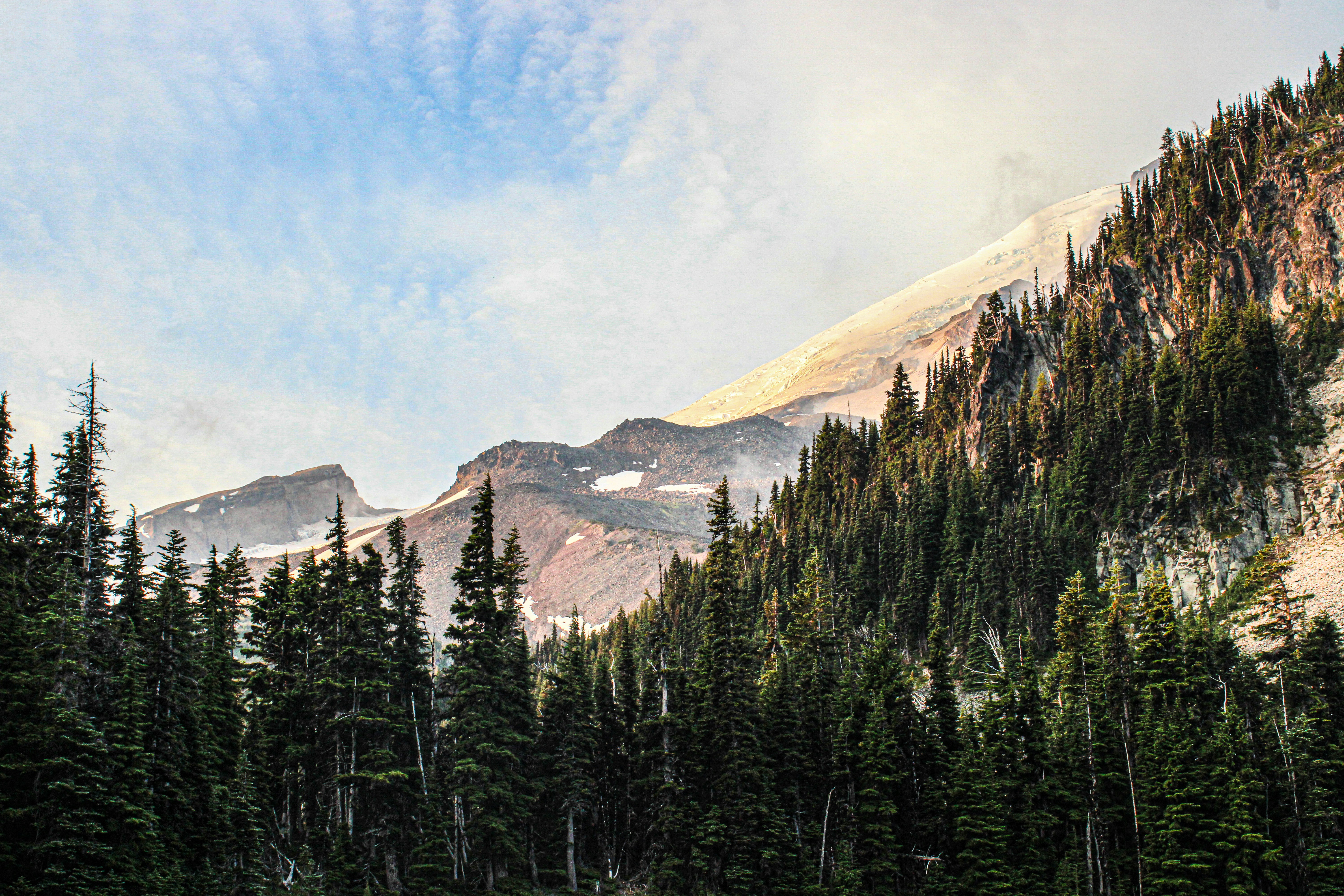 Photo by prphotography262