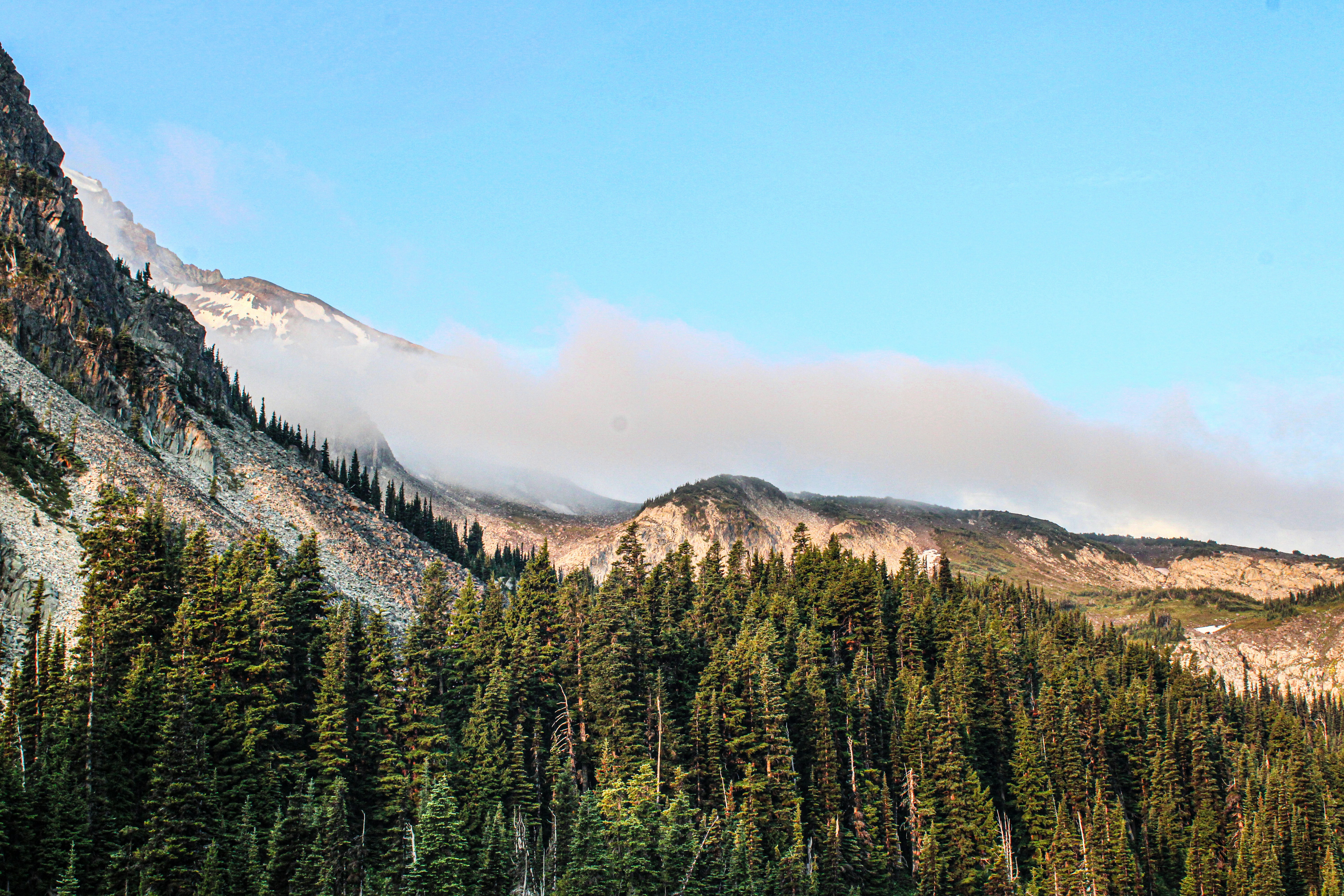 Photo by prphotography262