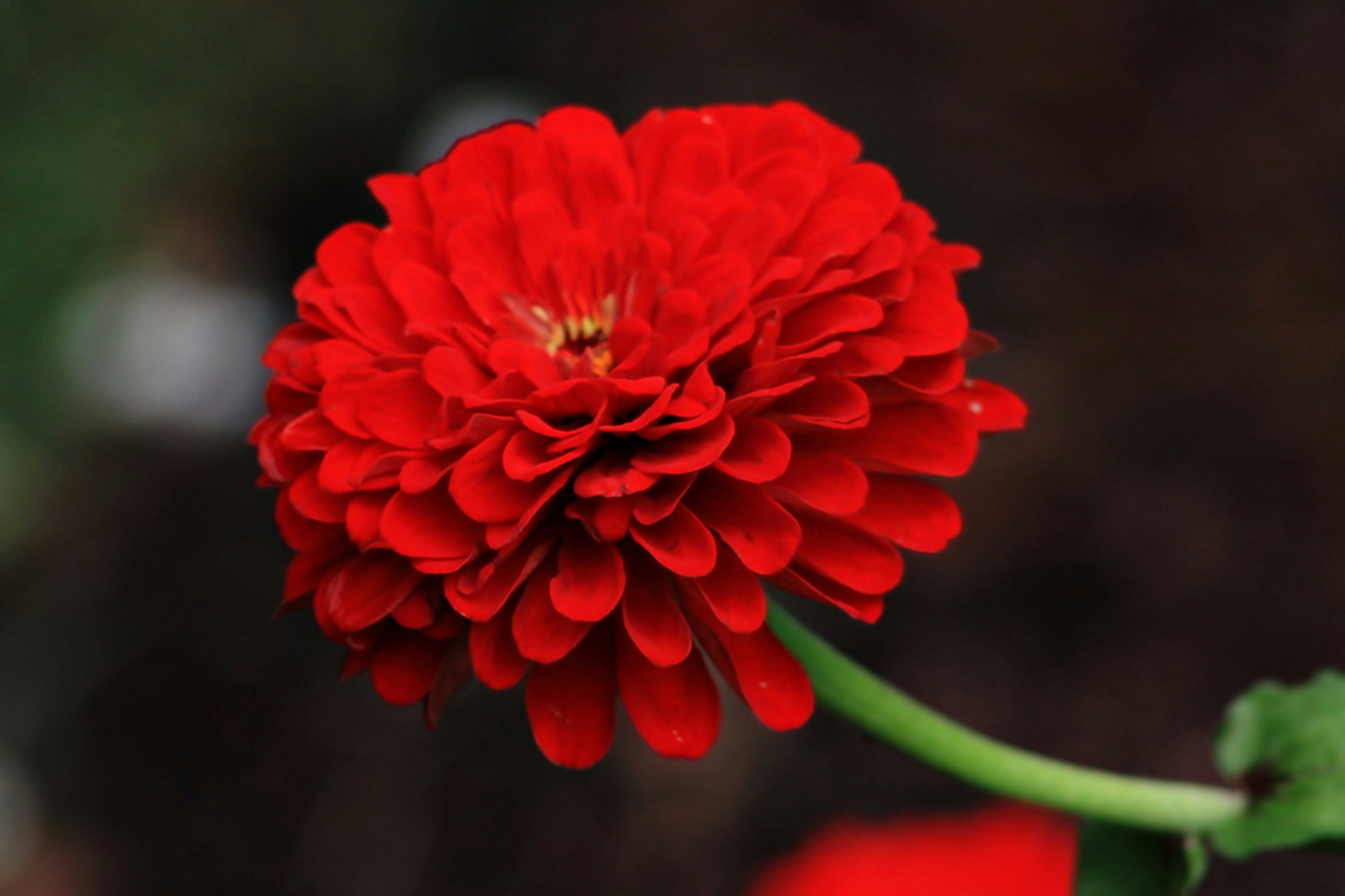 Photo by viewsofthecamera