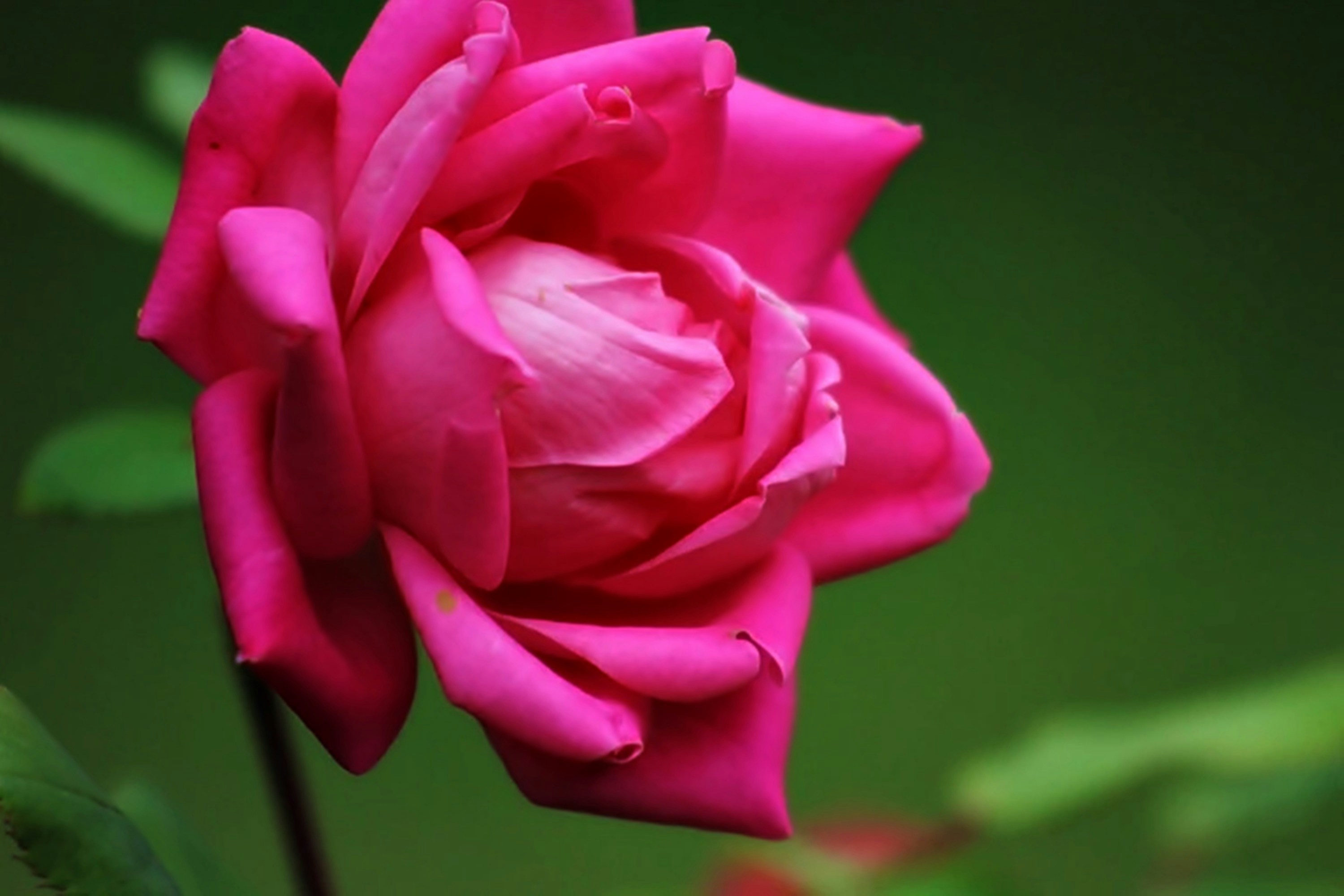 Photo by viewsofthecamera