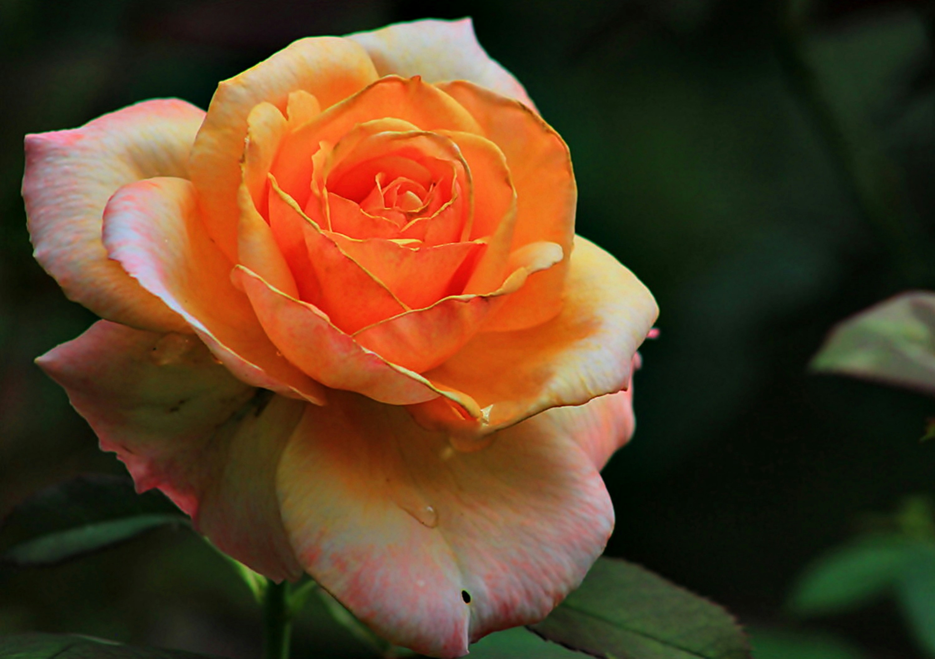 Photo by viewsofthecamera