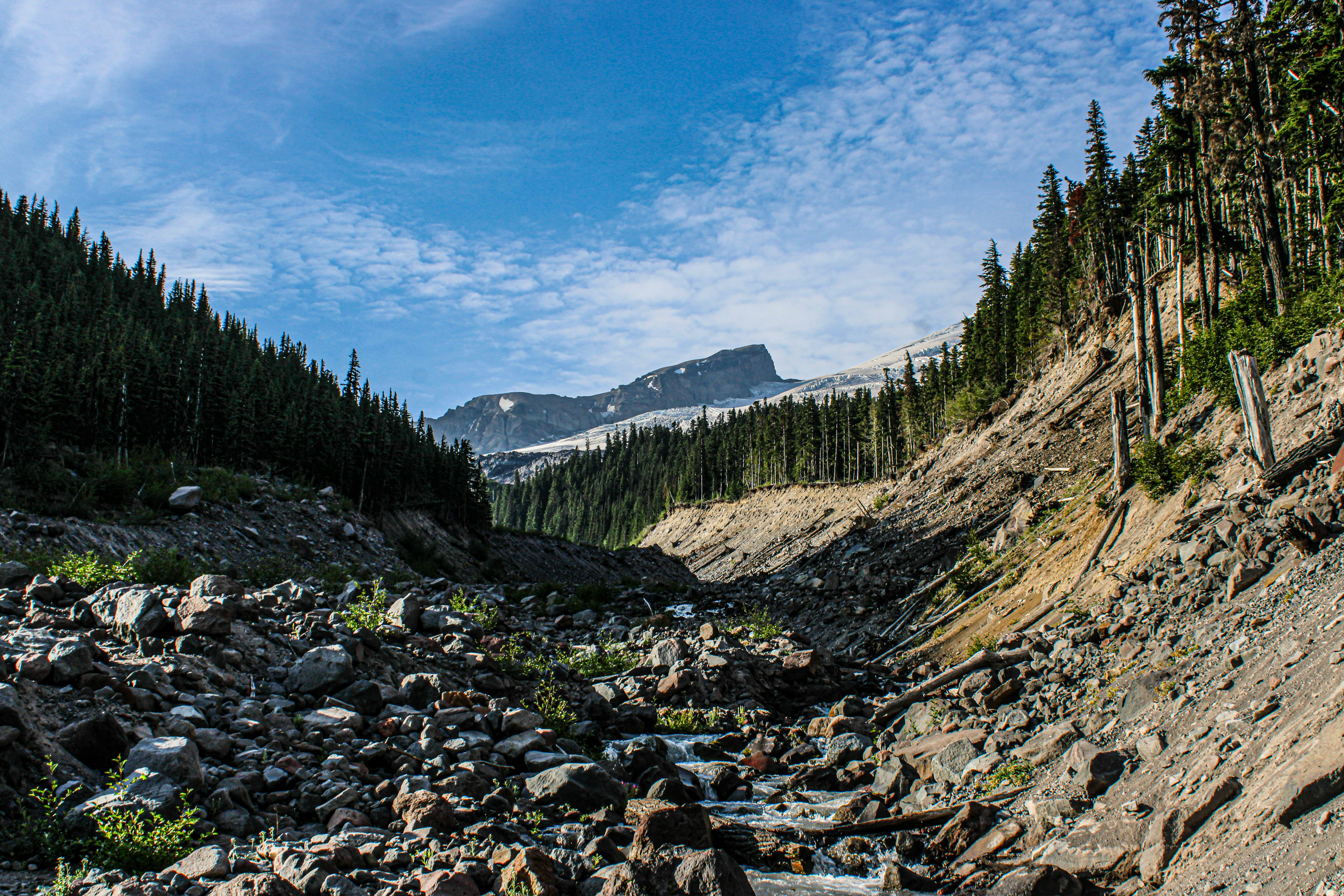 Photo by prphotography262