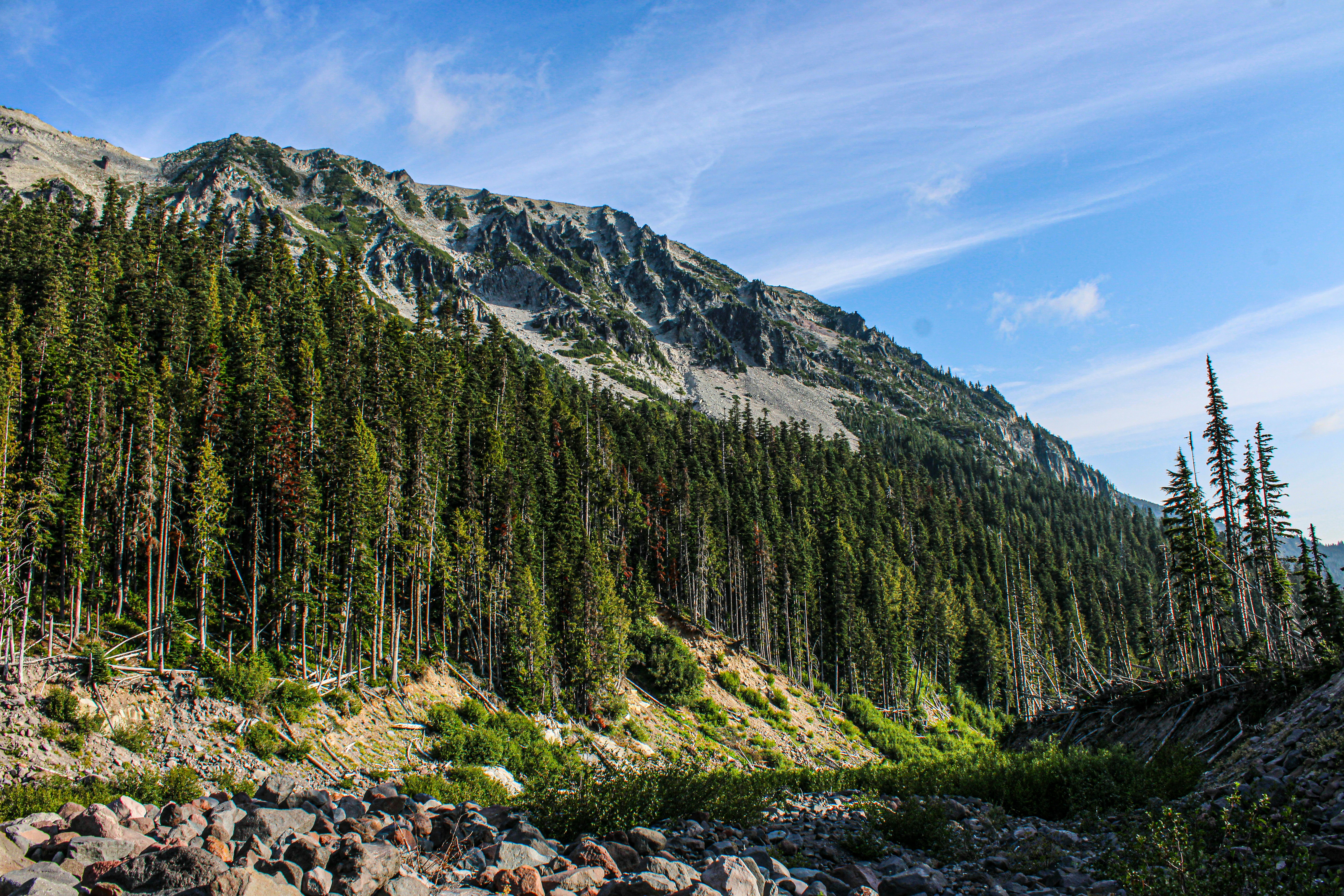 Photo by prphotography262