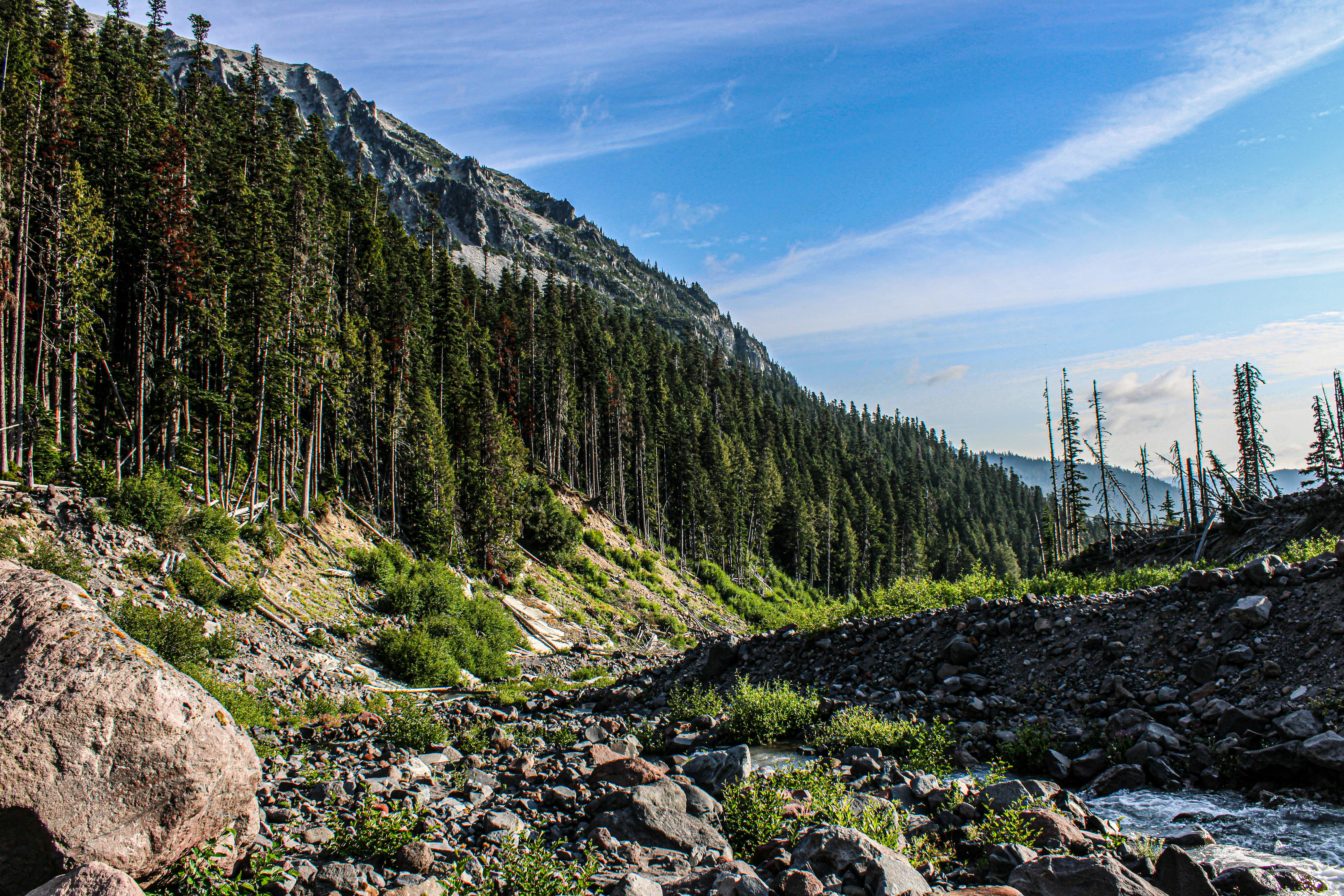 Photo by prphotography262