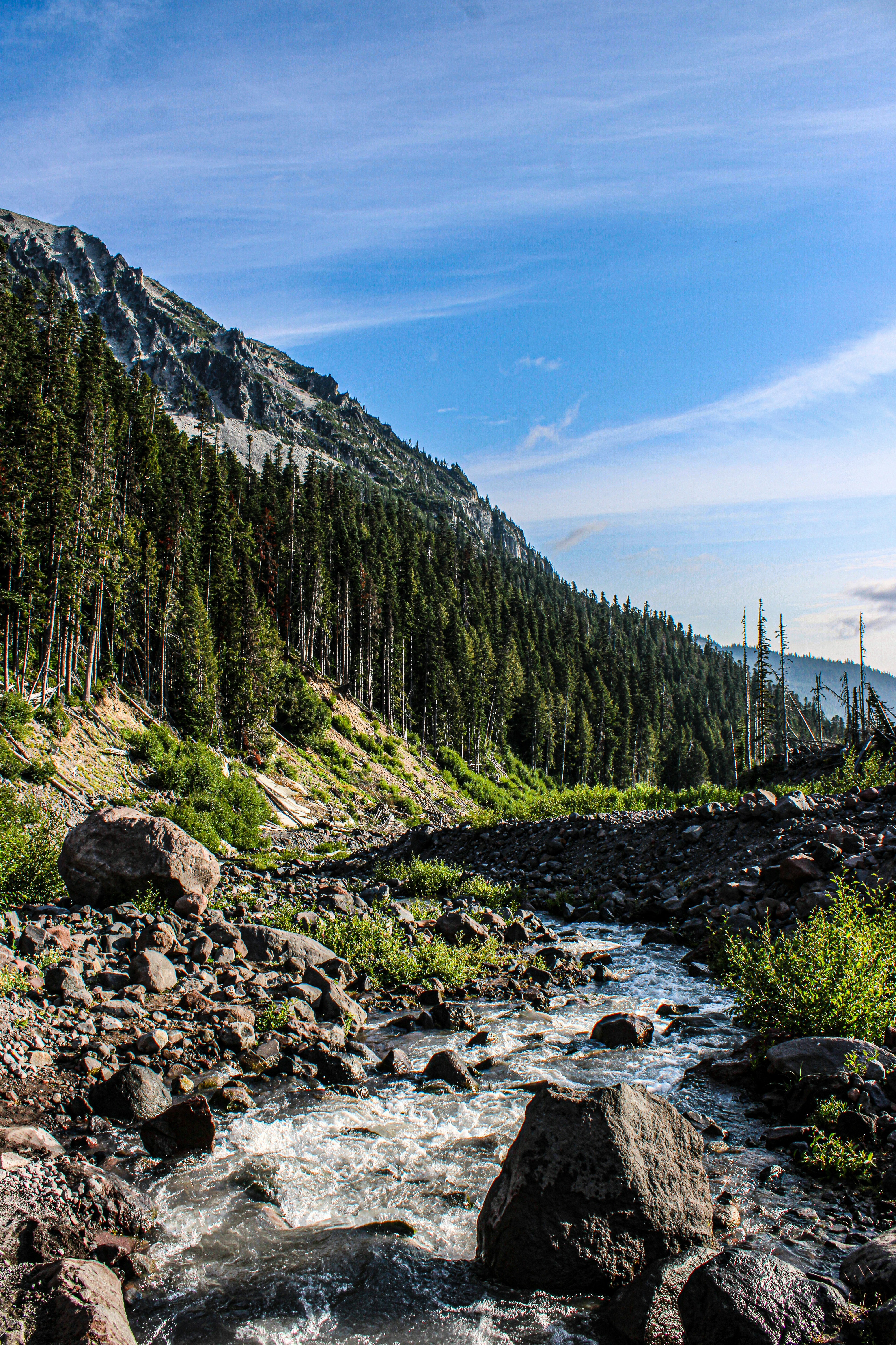 Photo by prphotography262