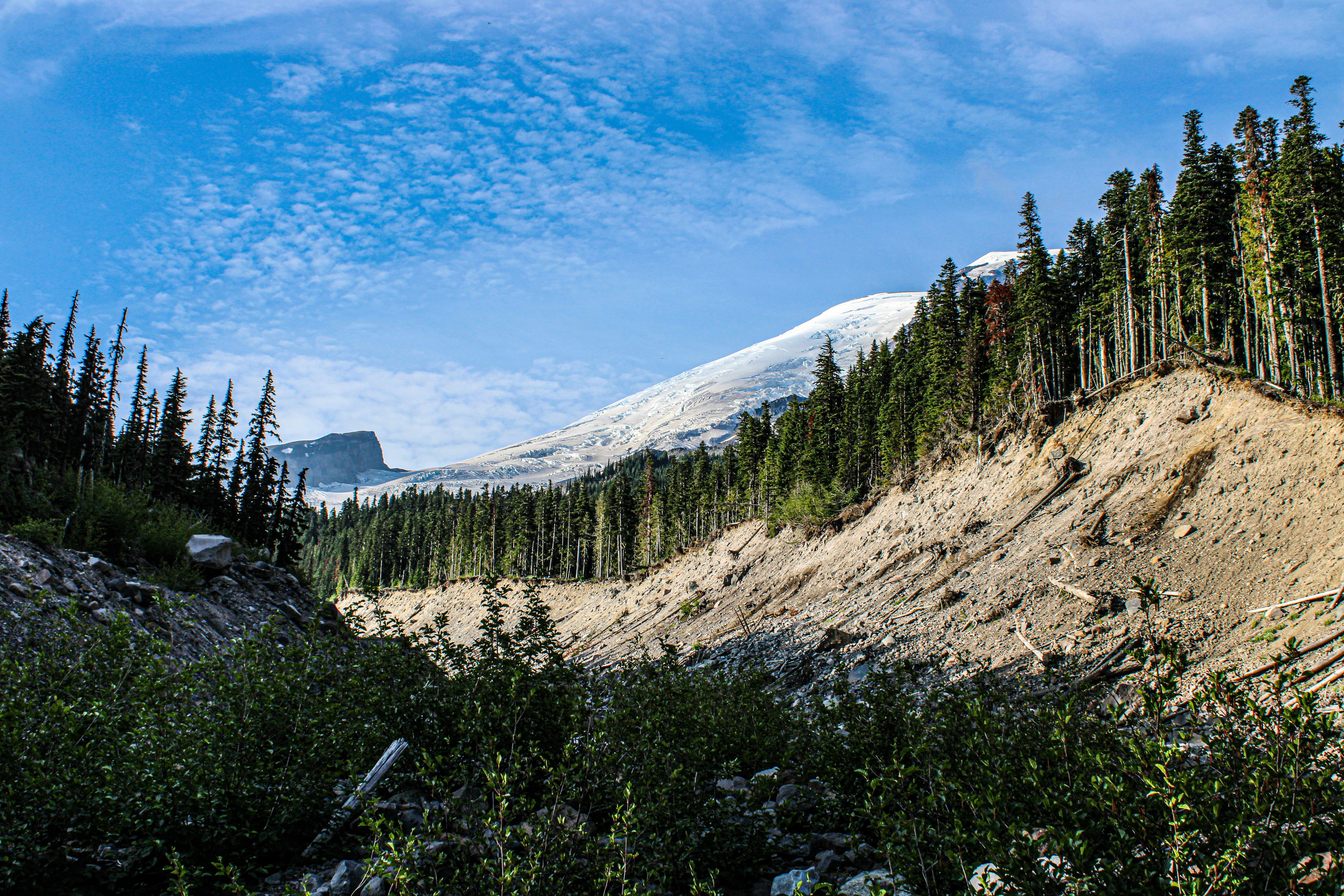 Photo by prphotography262