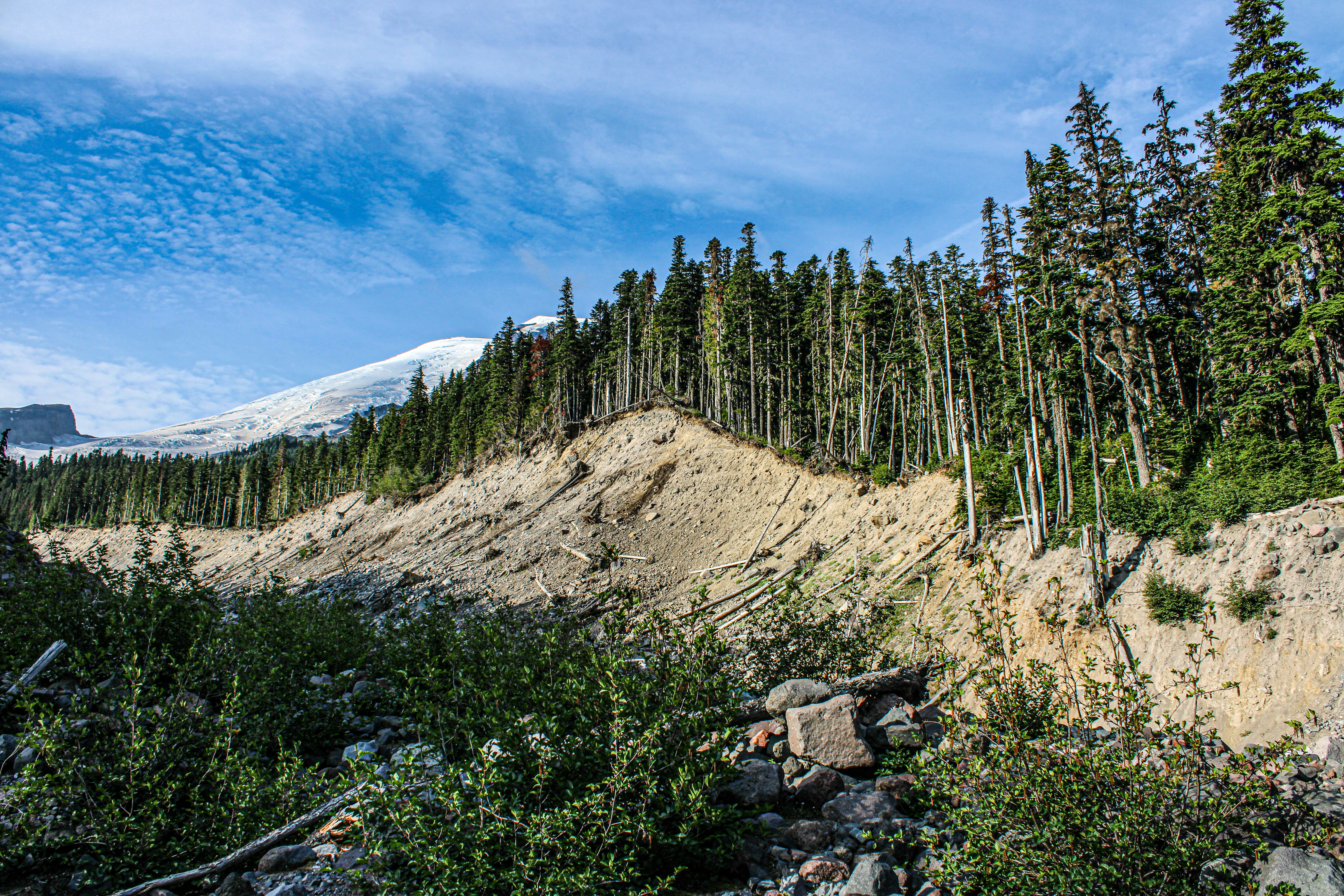 Photo by prphotography262