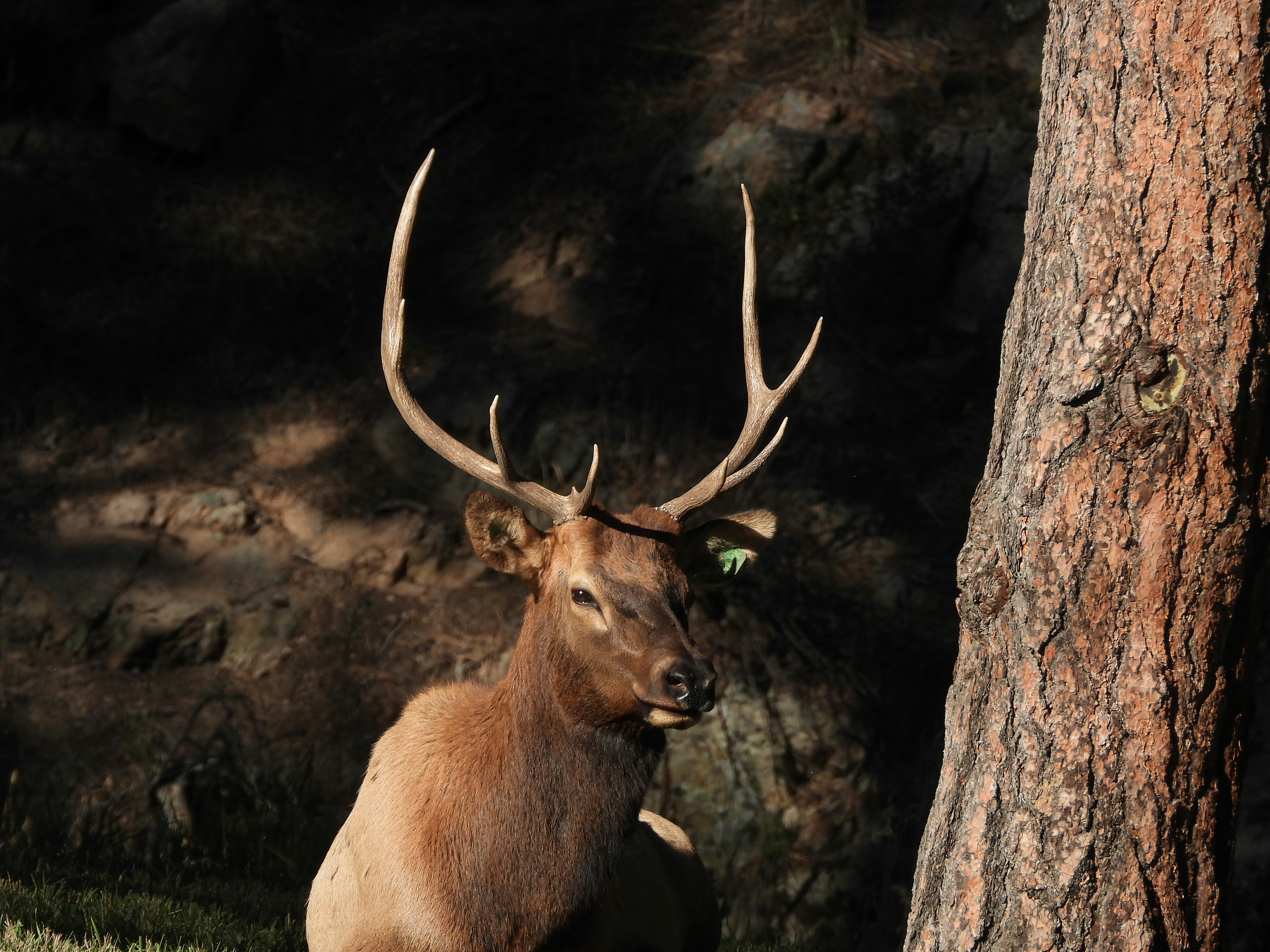 Photo by evergreene24