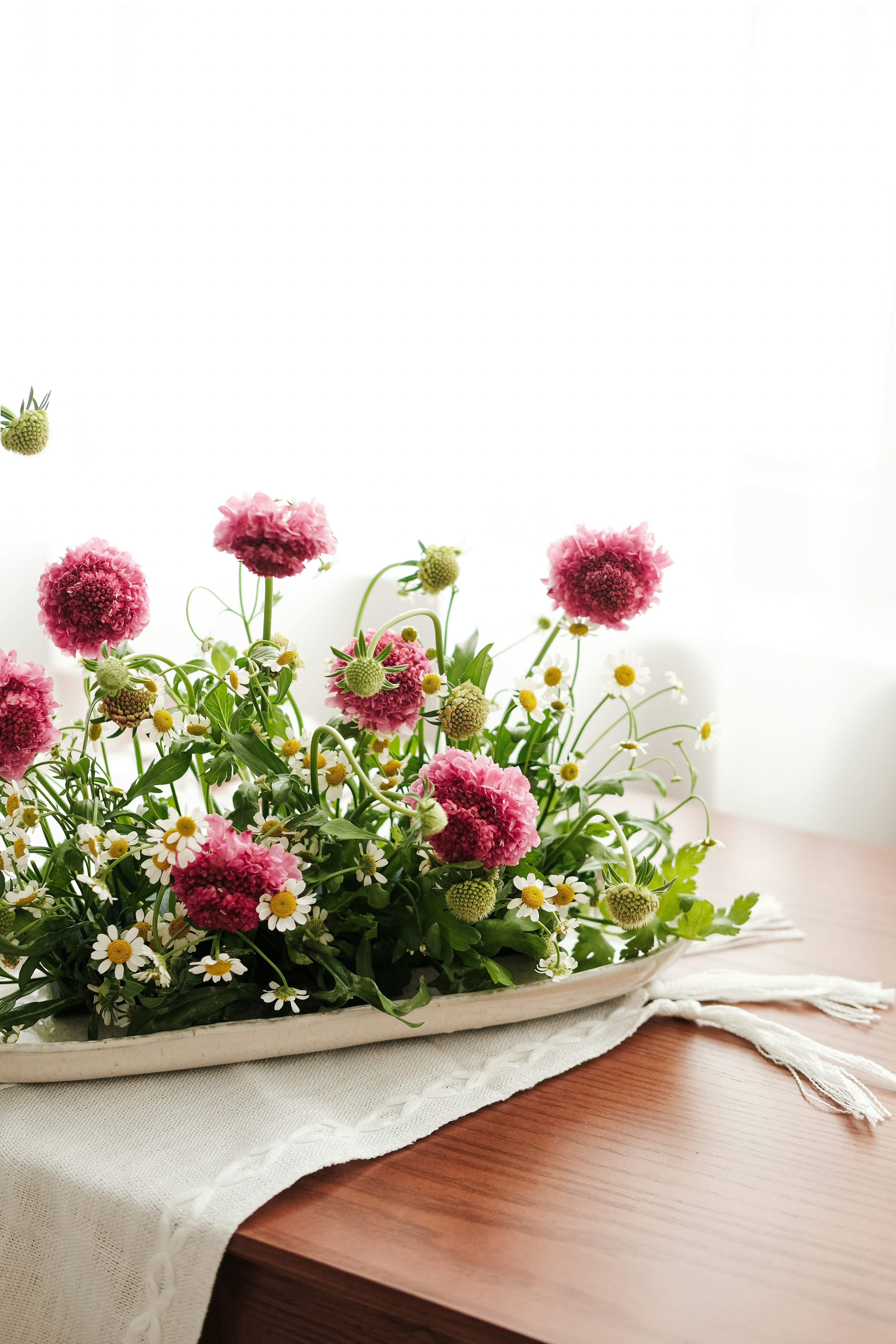 Photo by nganduong93