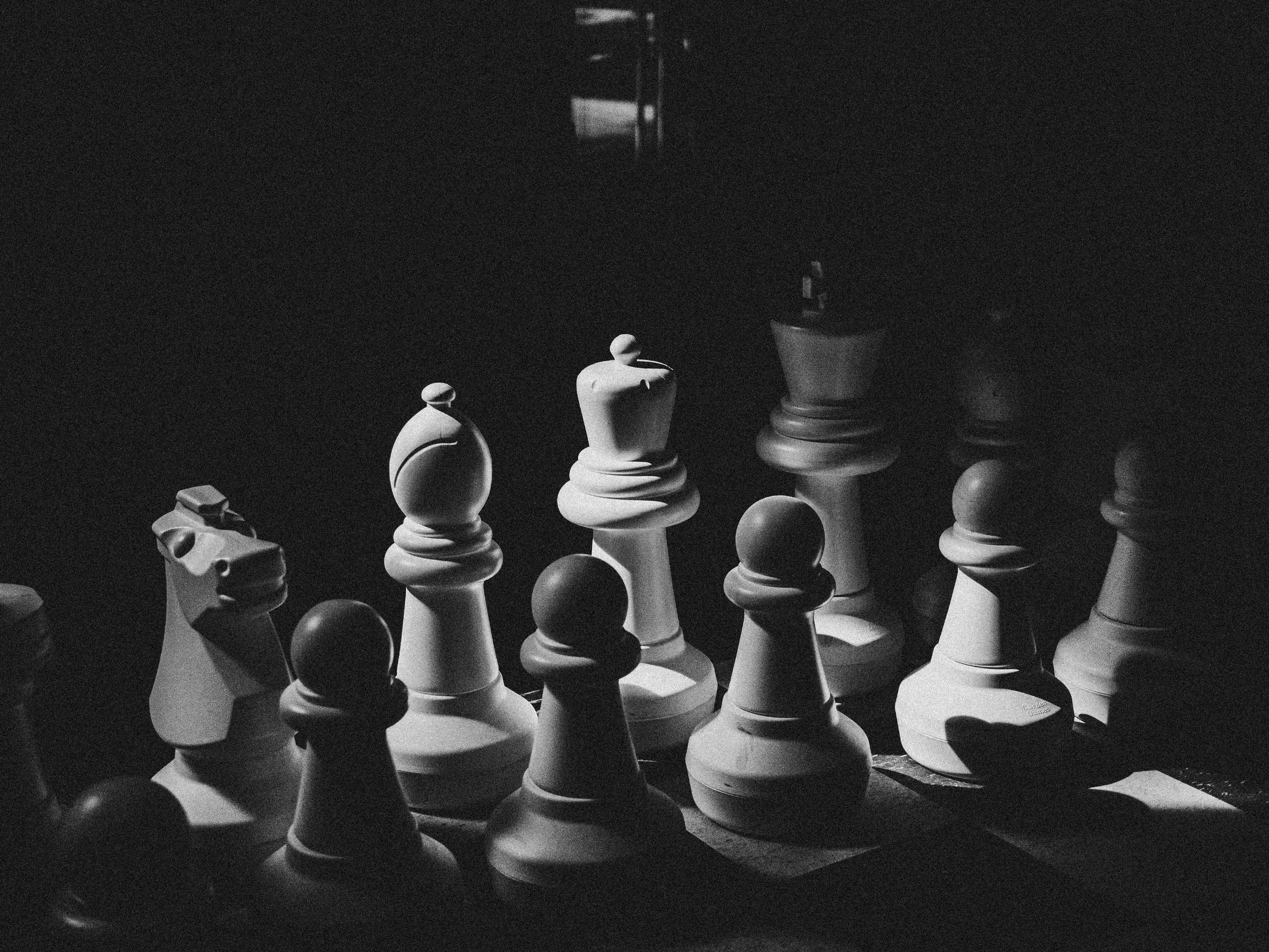 Photo by connellshandler