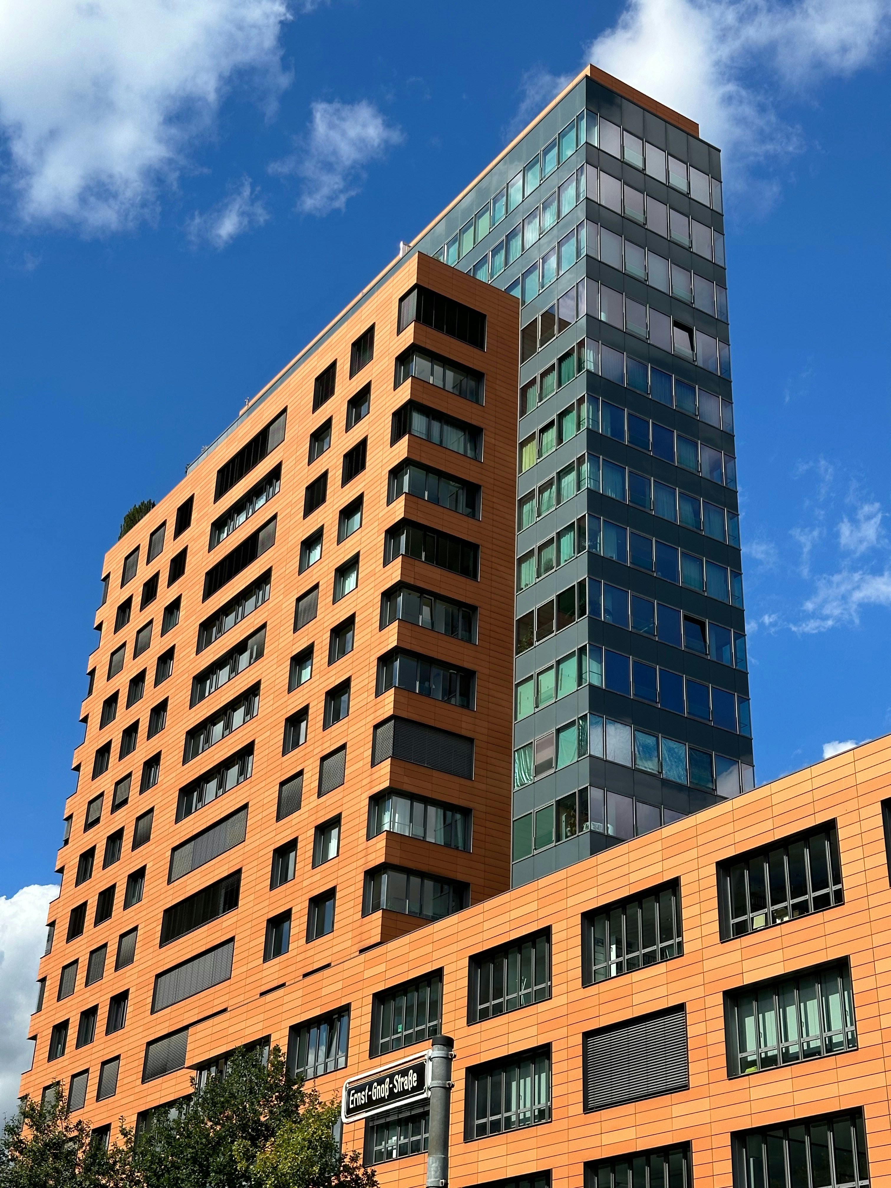 Photo by ved_catch_neo