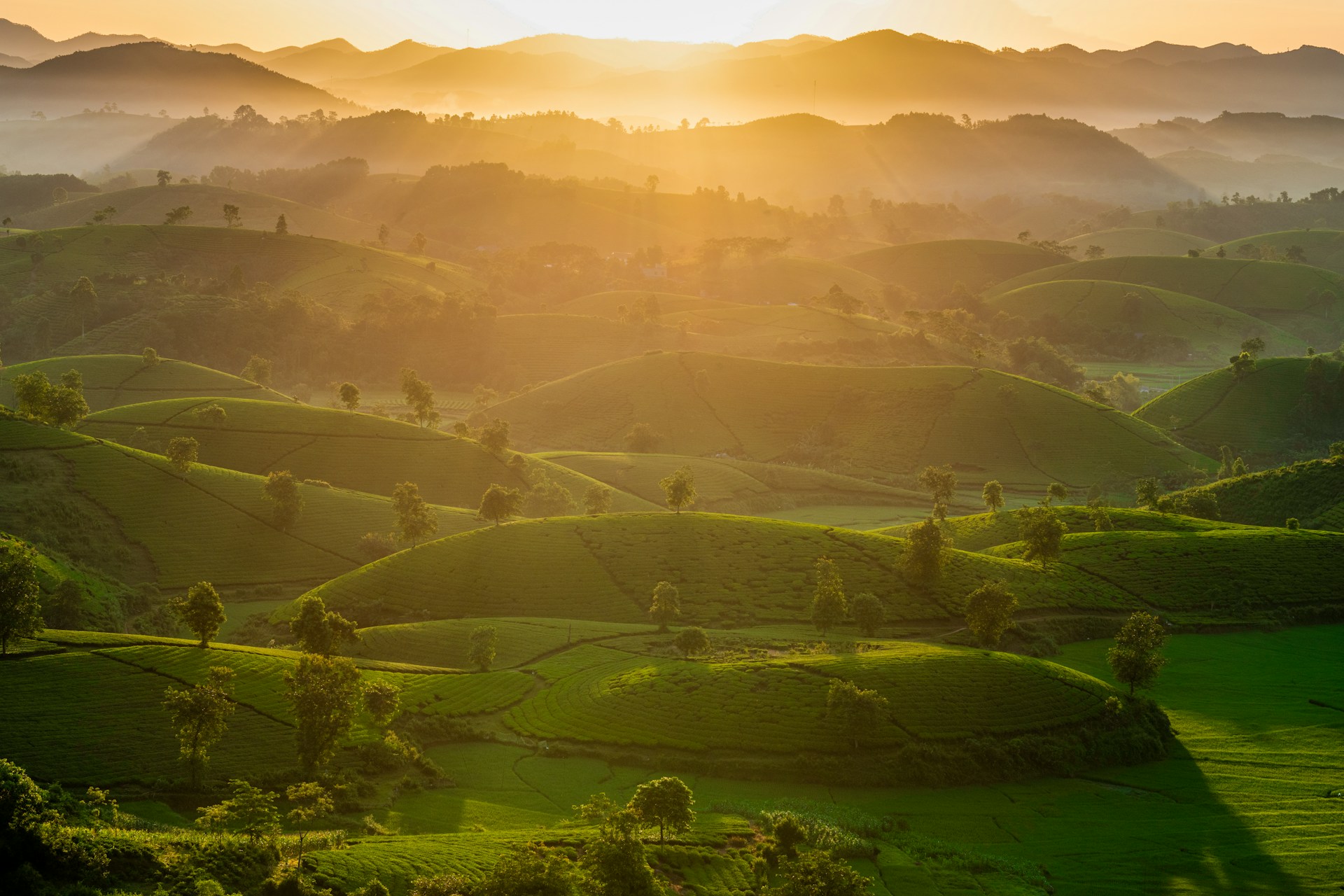 The sun is setting over the green hills