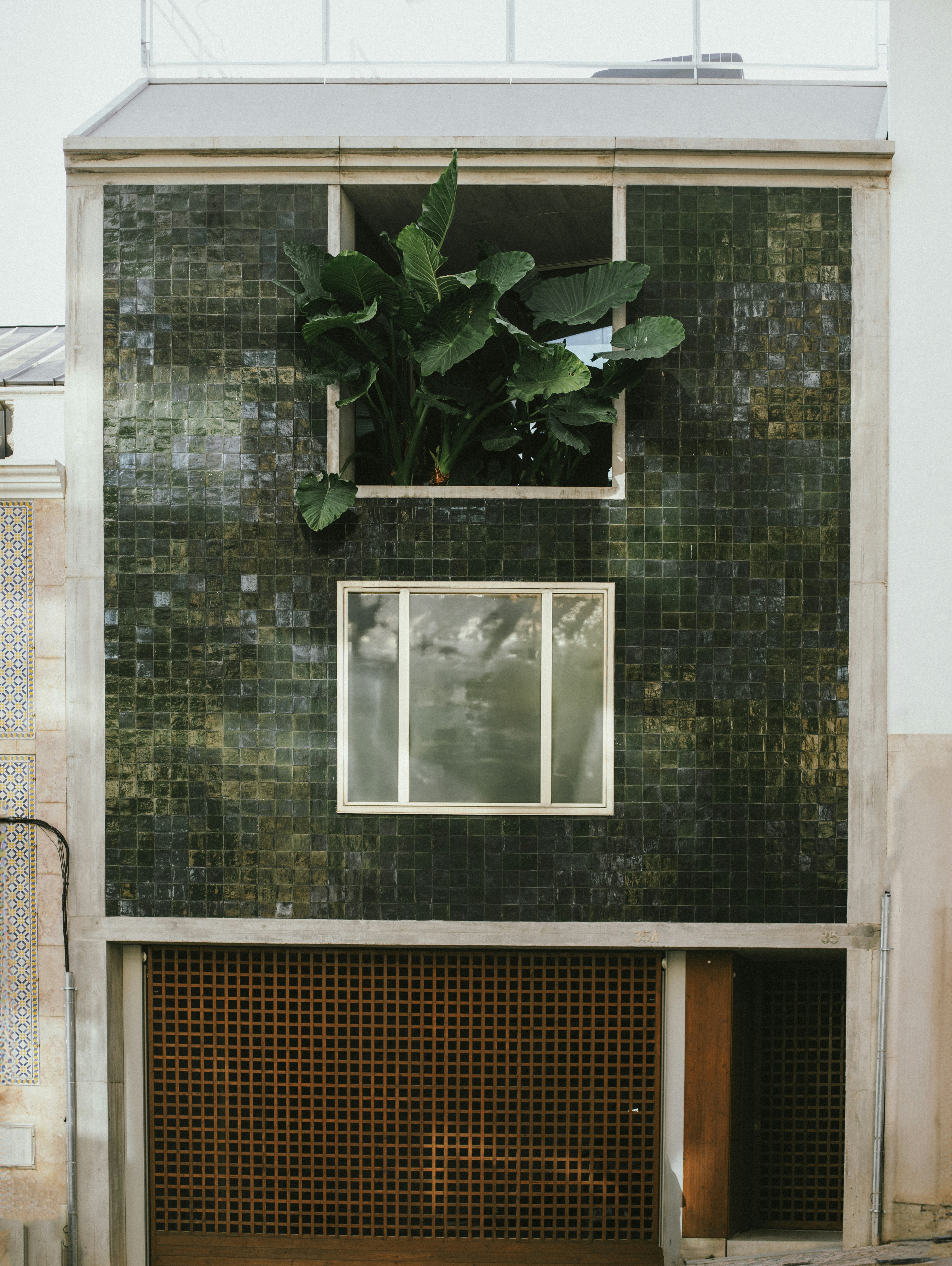 A green building with a plant growing out of the window