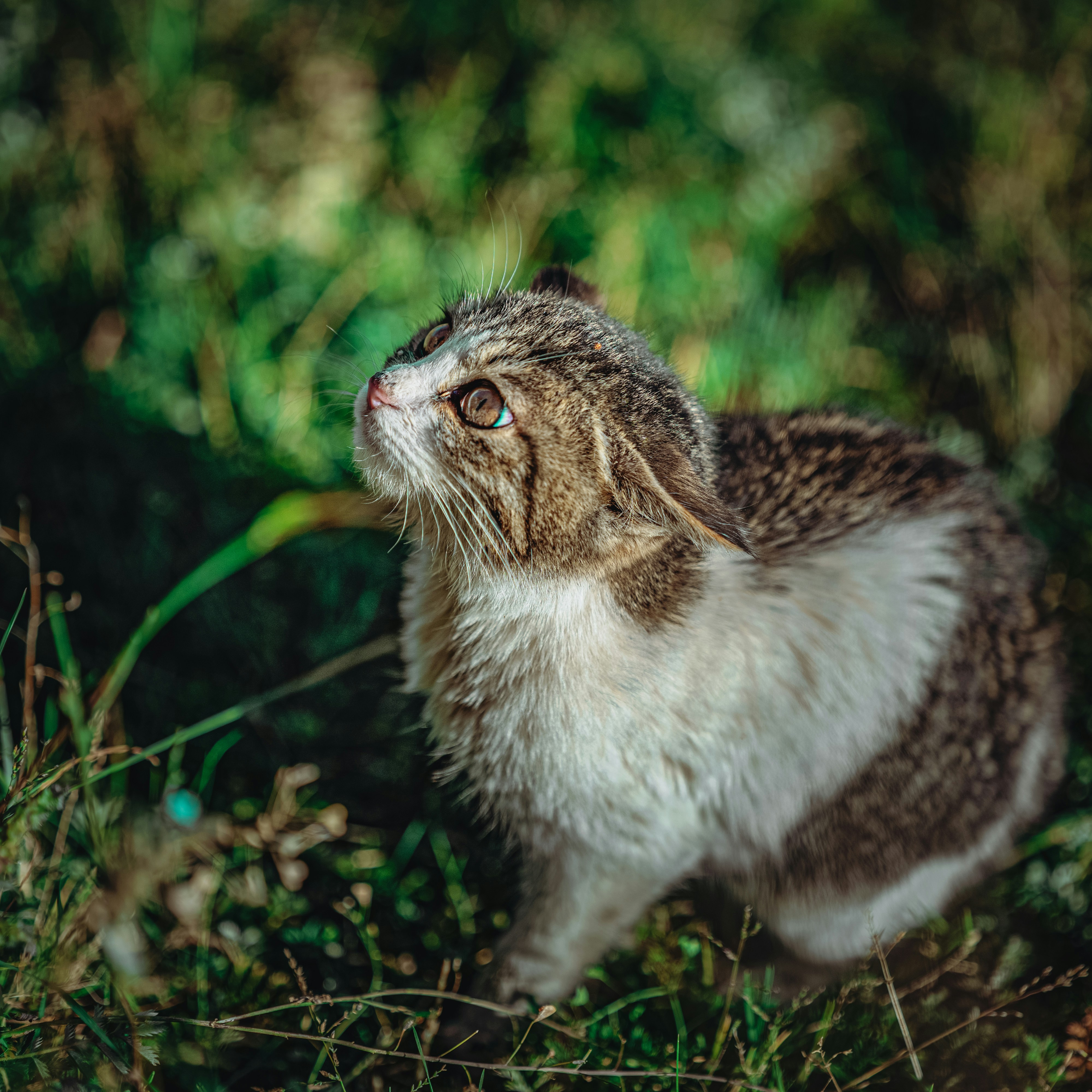Shared Curiosity: The Spark of Friendship (image credits: unsplash)
