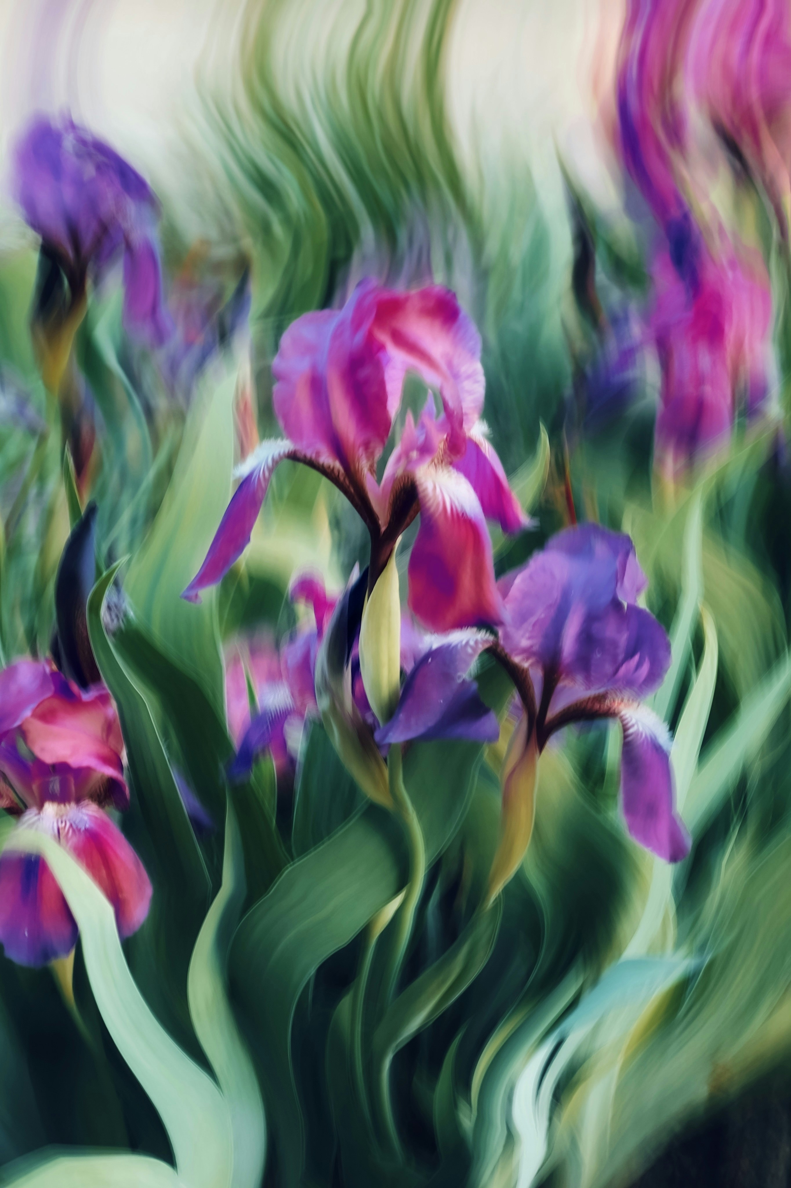 Photo by eugene_golovesov