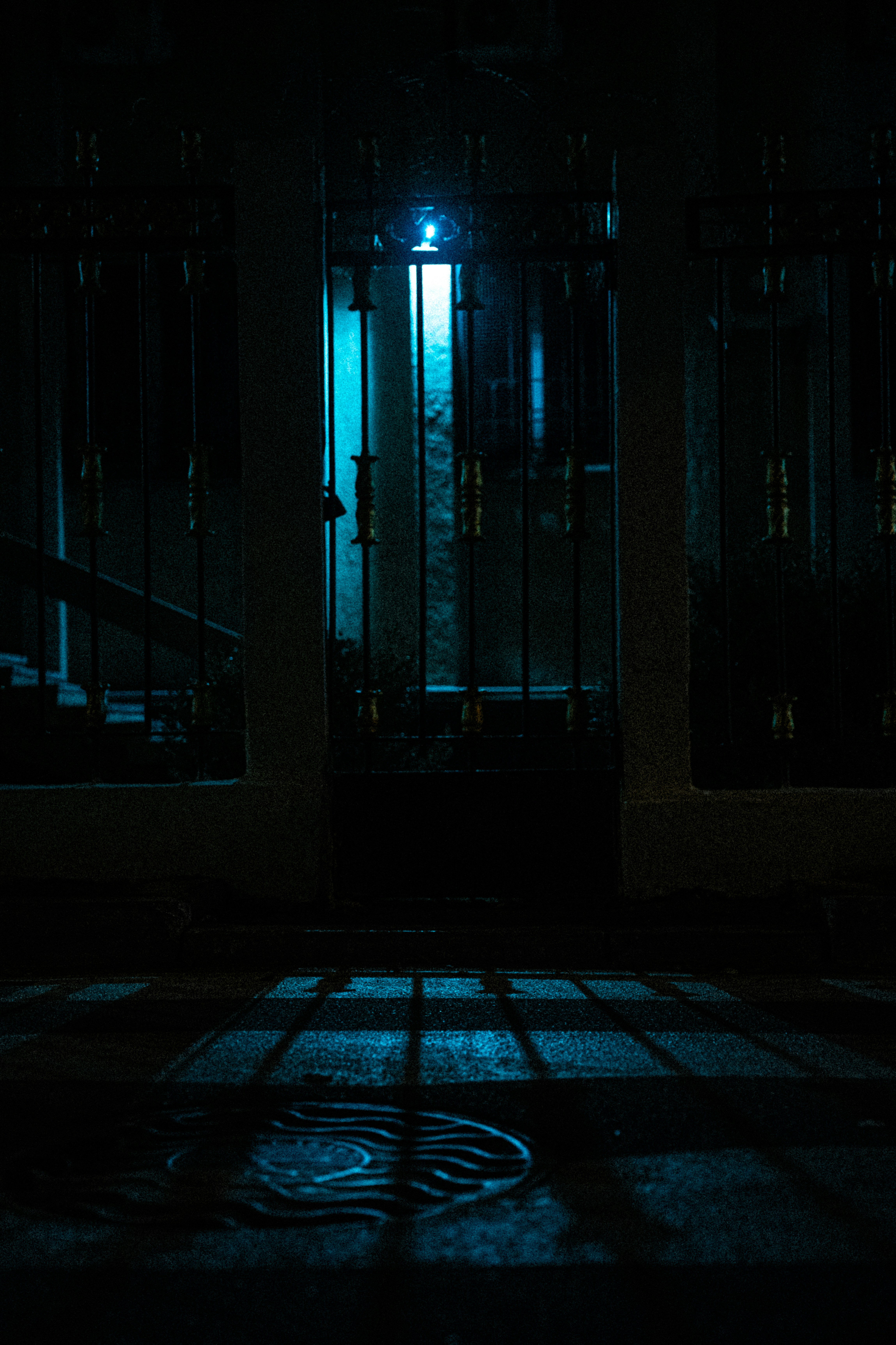 Photo by samoyedness