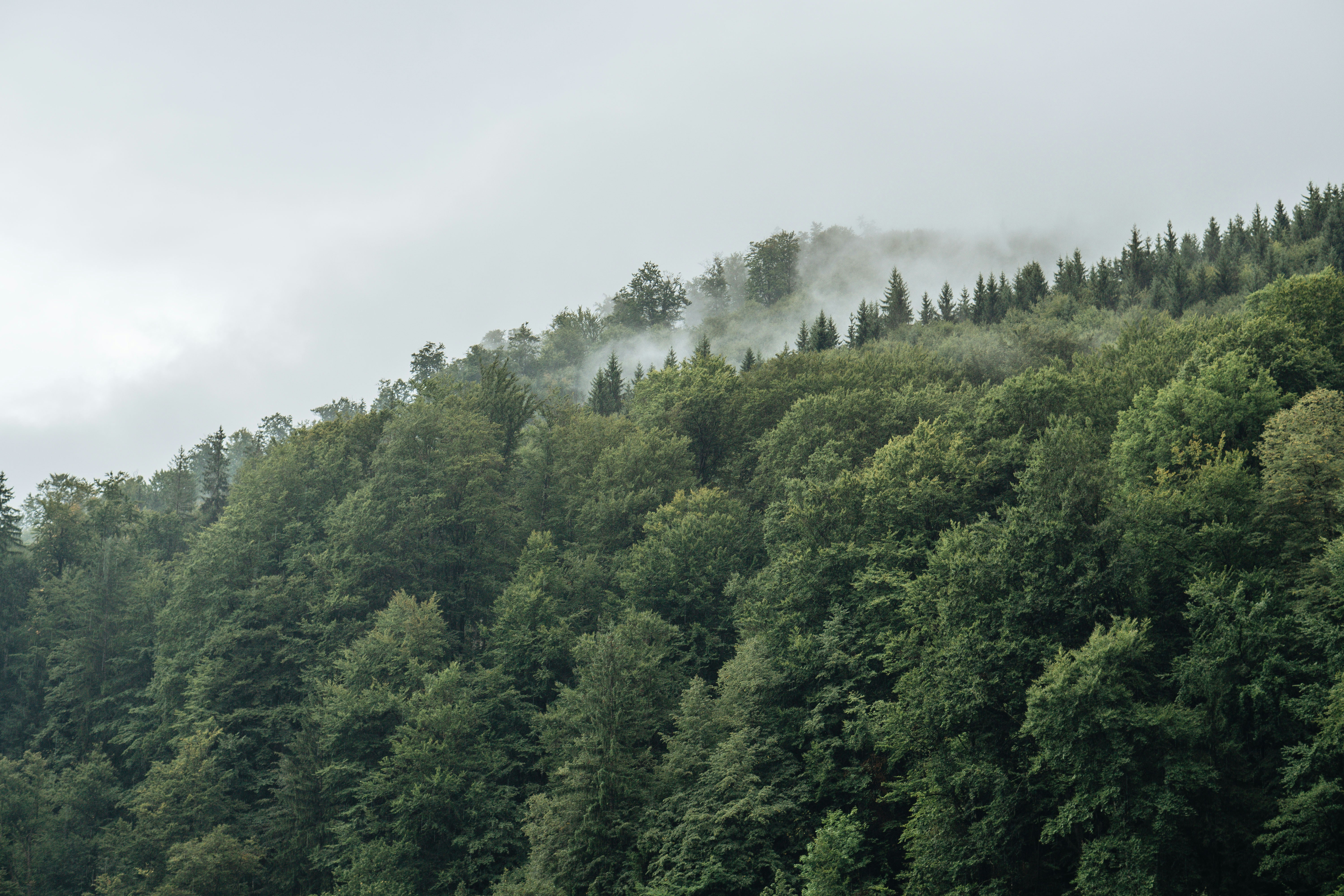 Photo by kateryna_senkevych