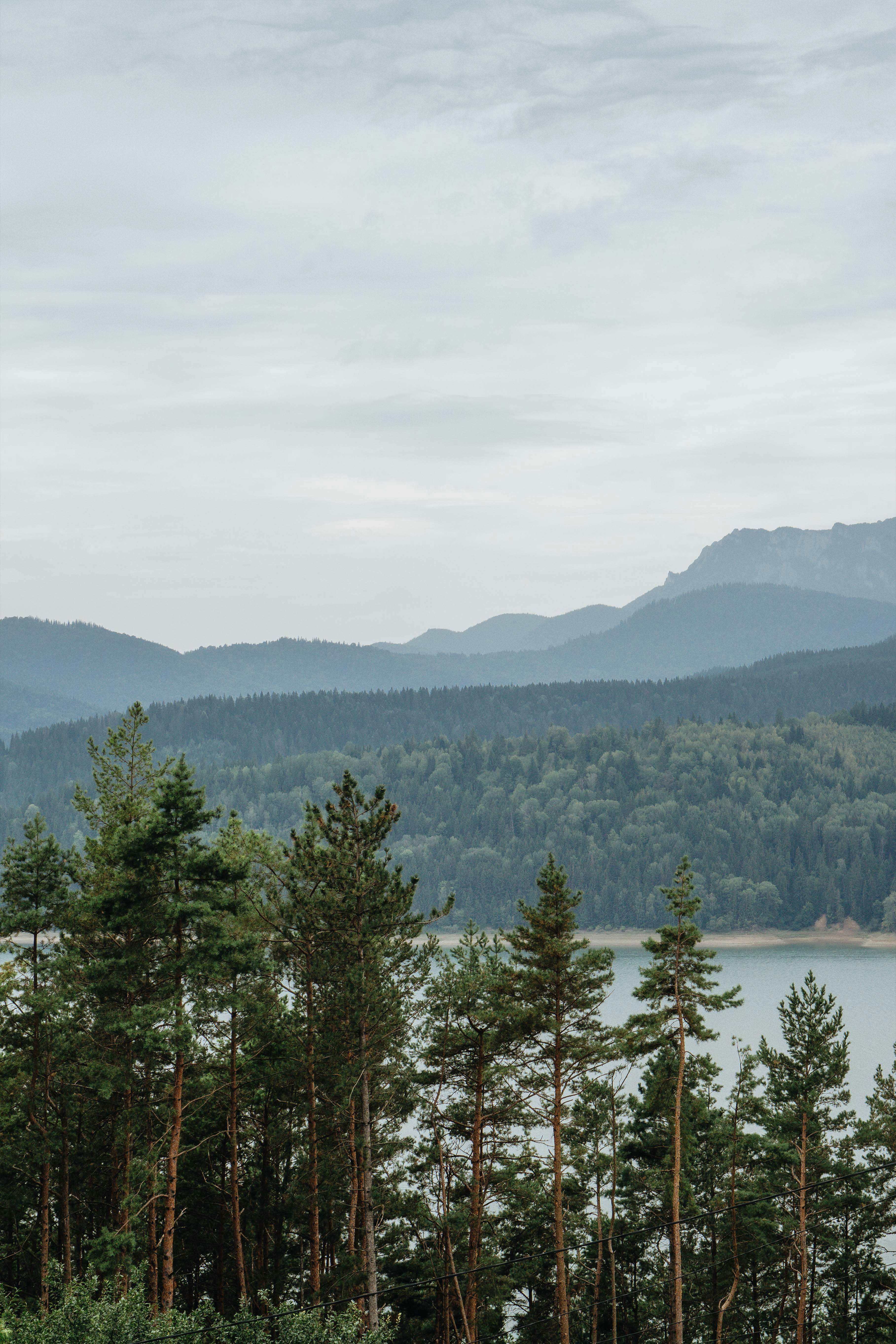 Photo by kateryna_senkevych