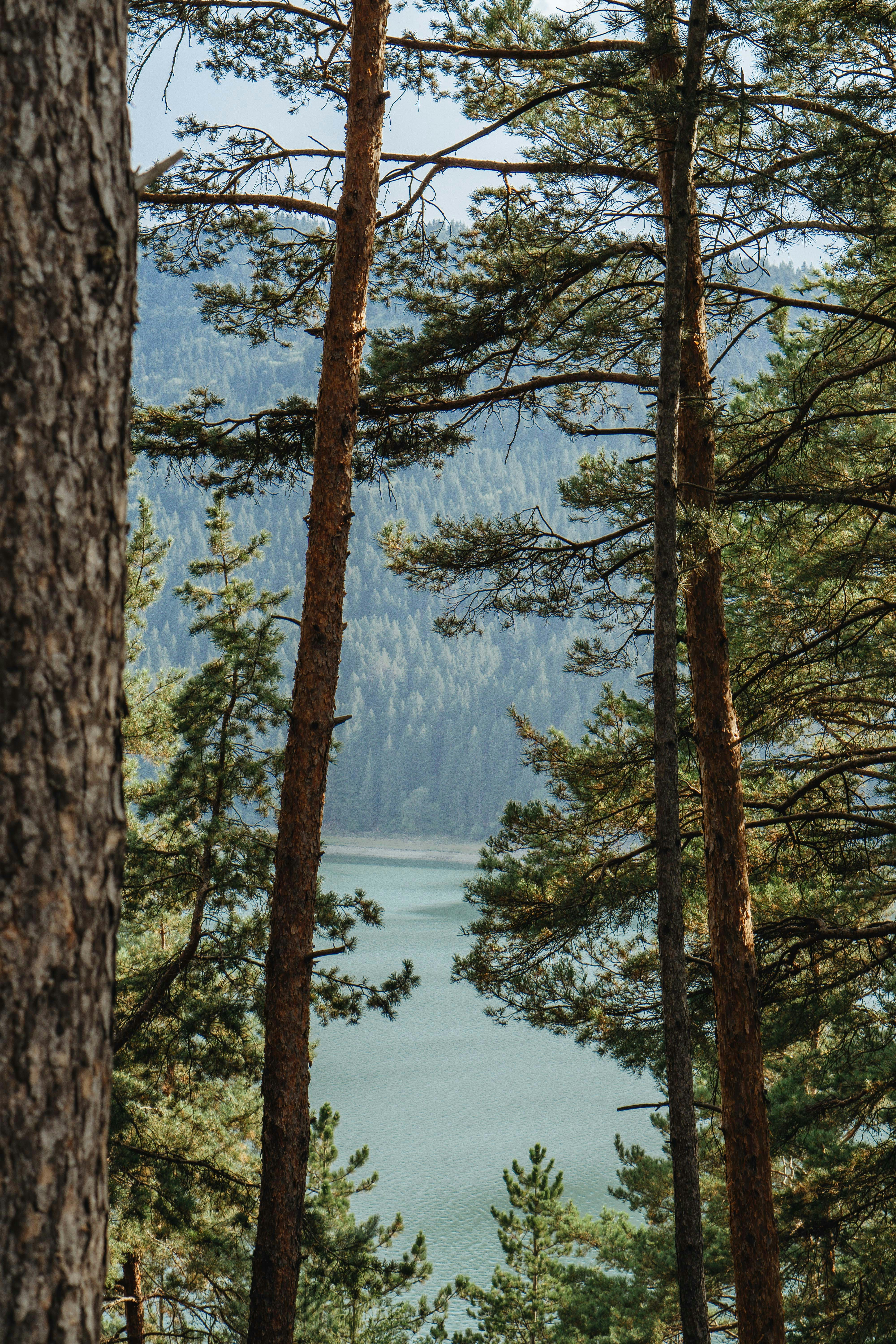 Photo by kateryna_senkevych