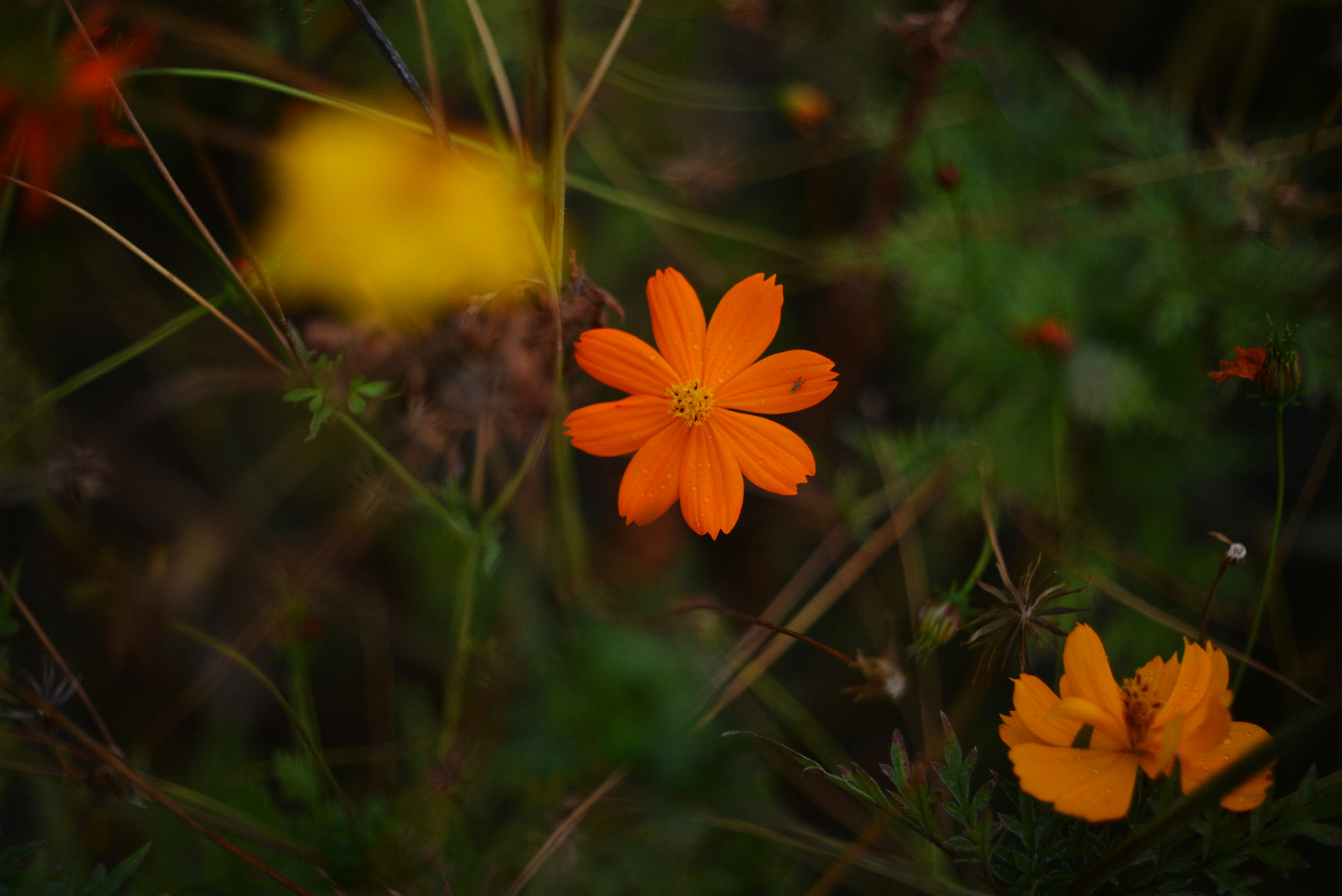 Photo by cherstve_pechivo