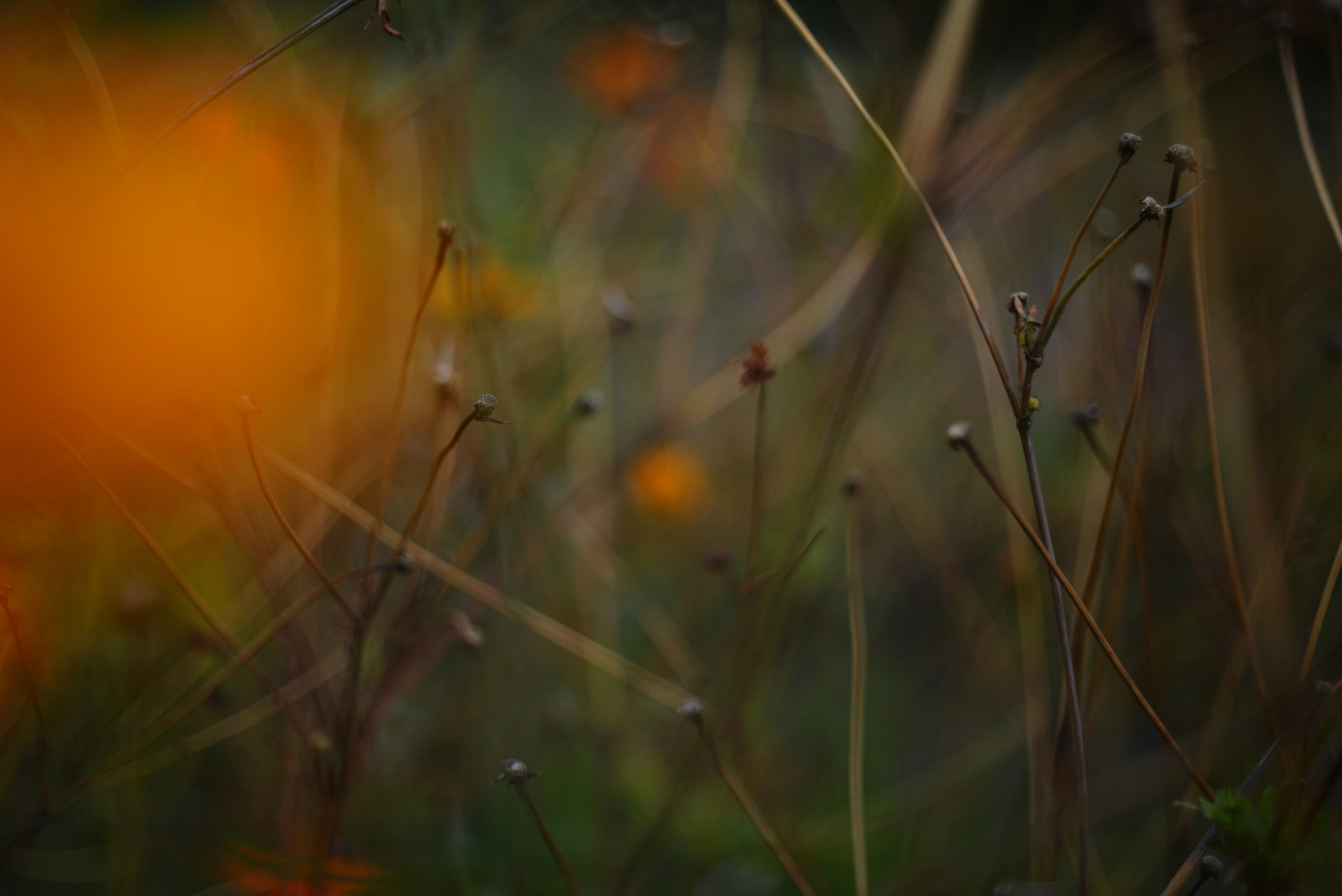 Photo by cherstve_pechivo