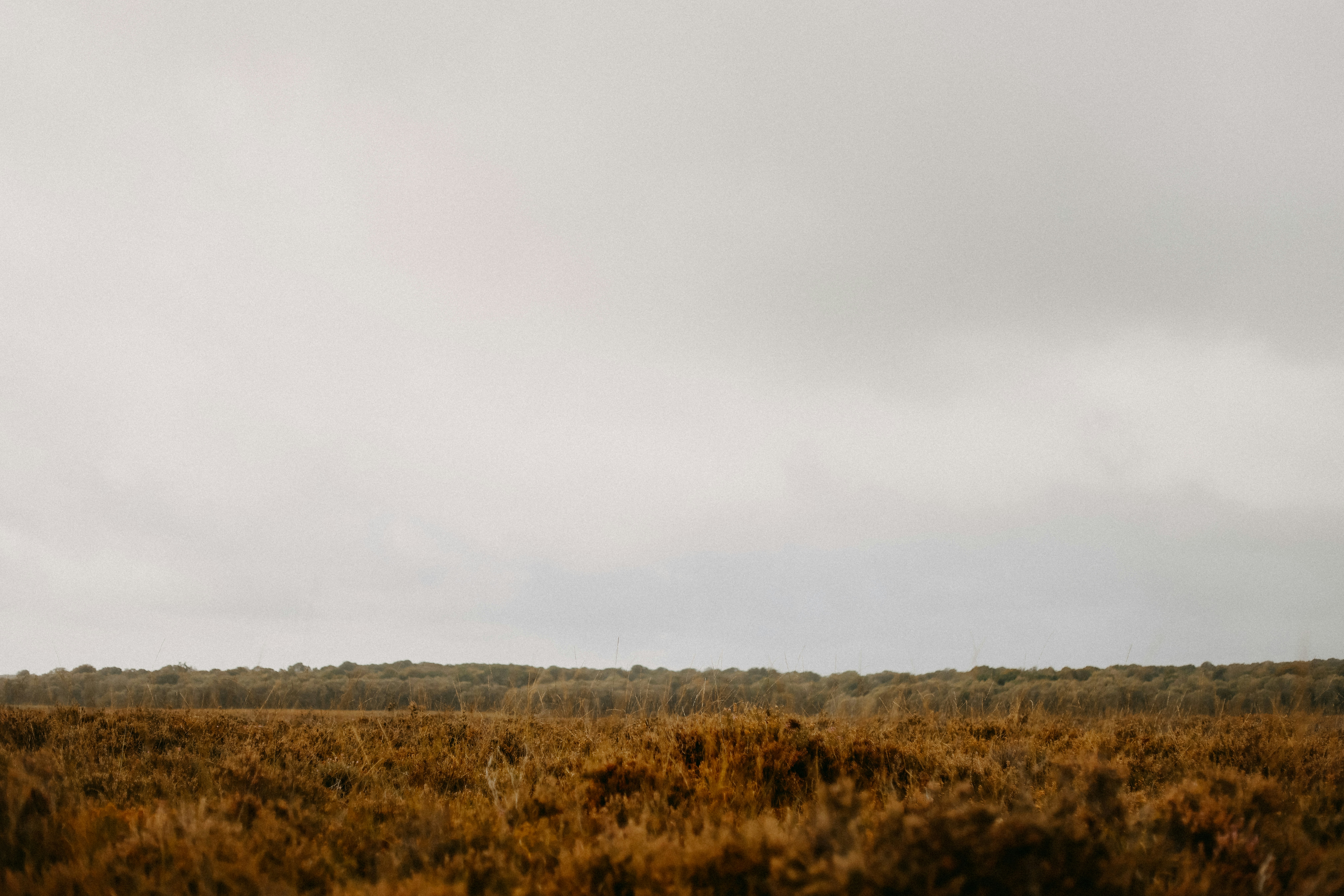 Photo by anniespratt