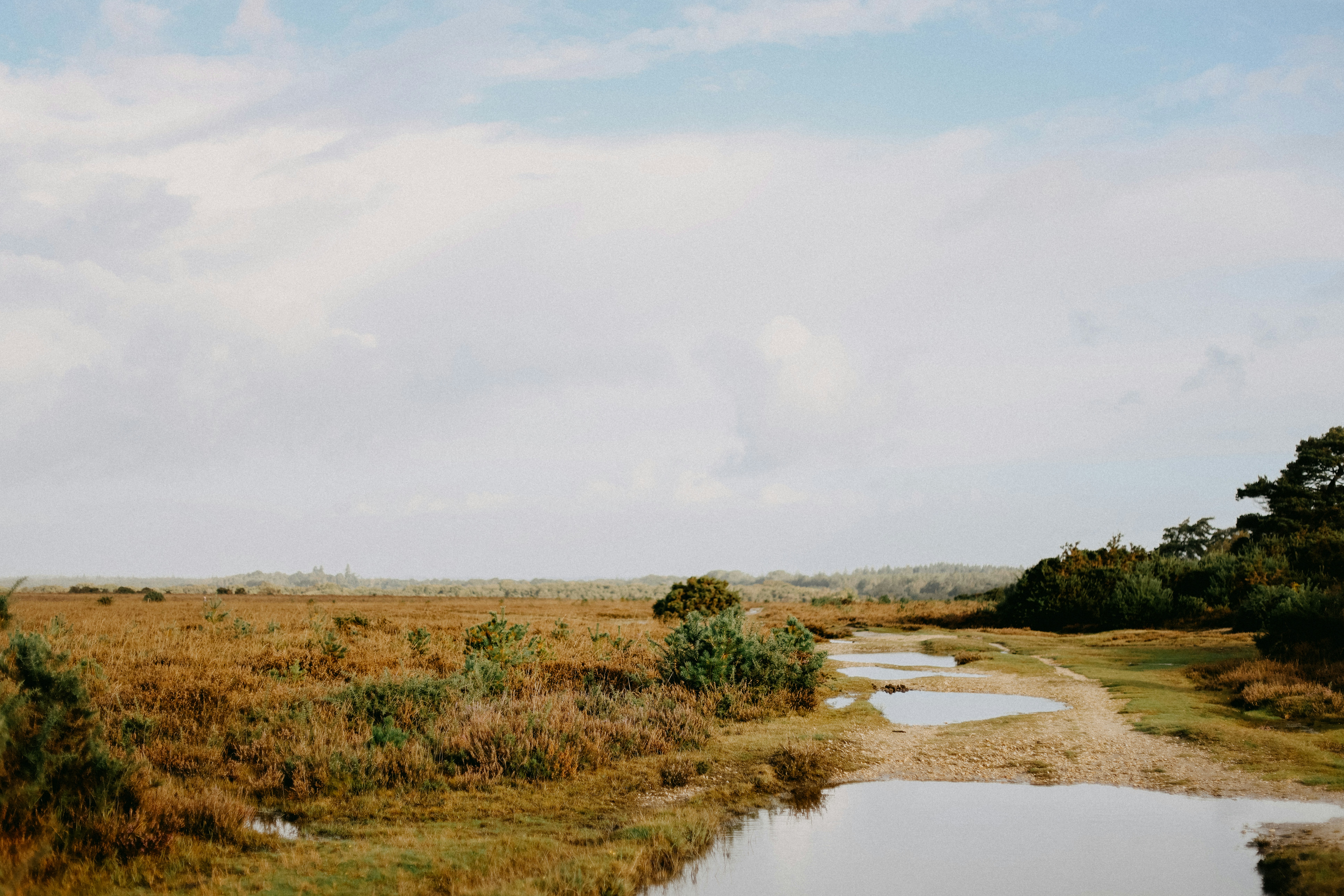 A small stream running through a dry grass field
