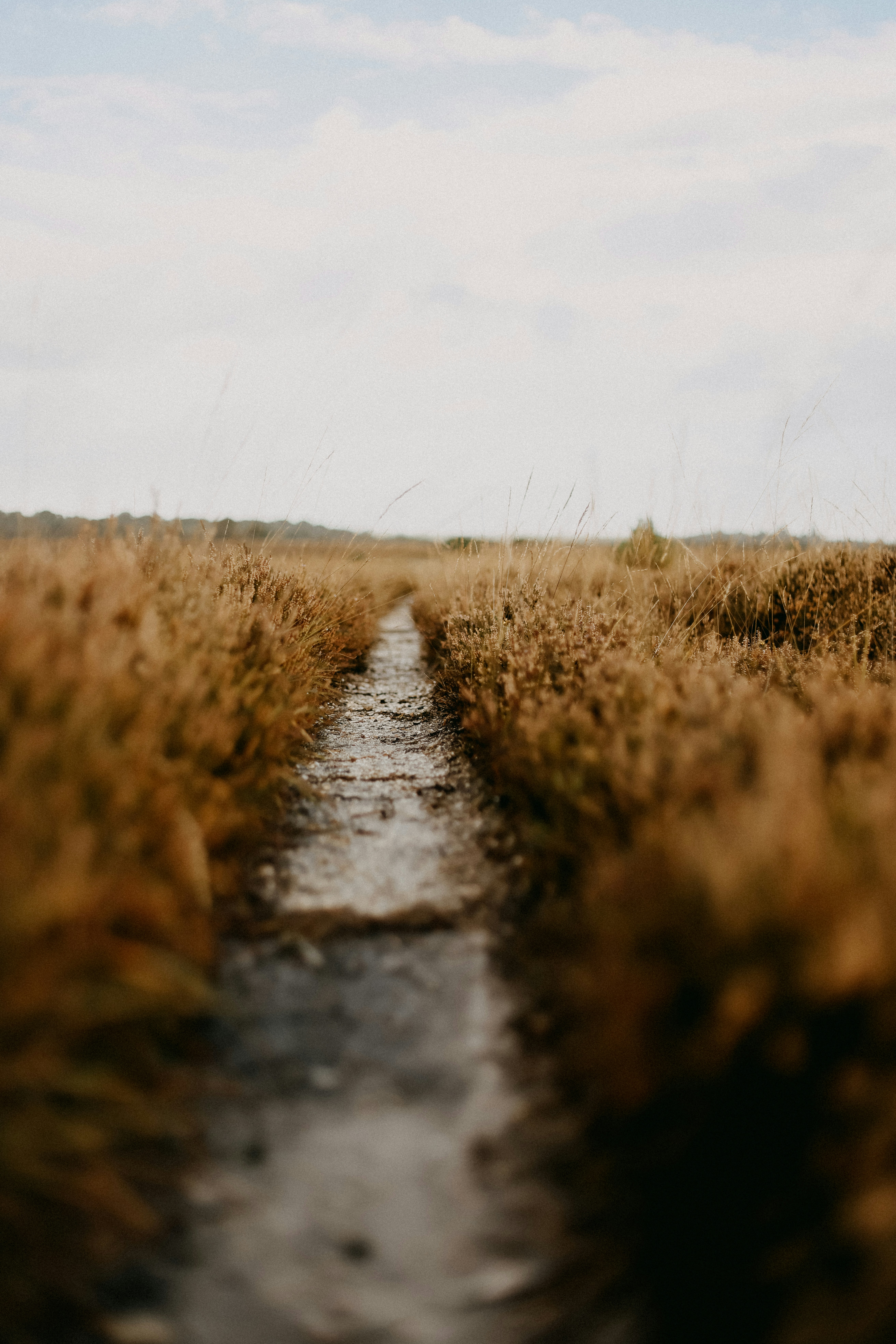 Photo by anniespratt