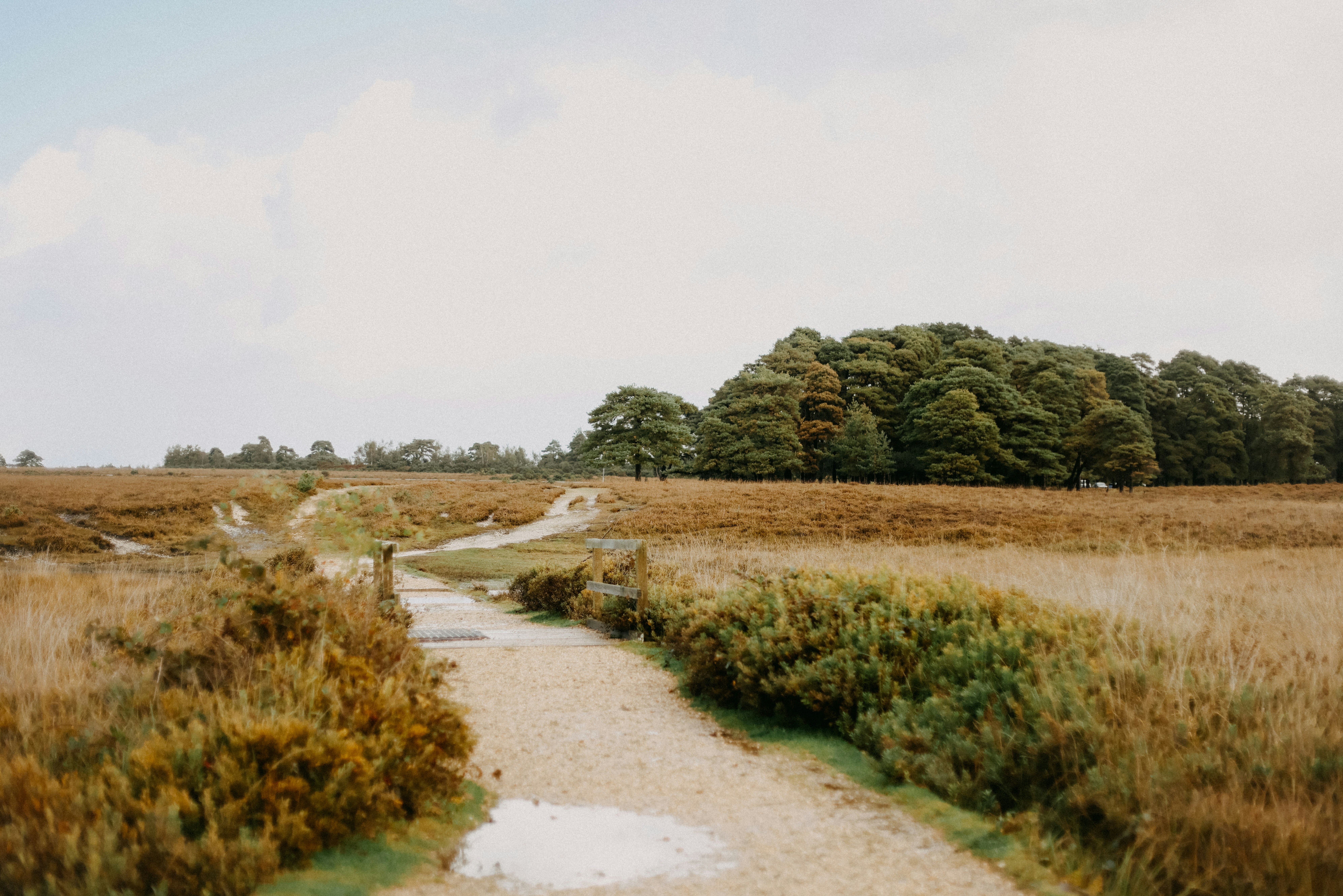 Photo by anniespratt