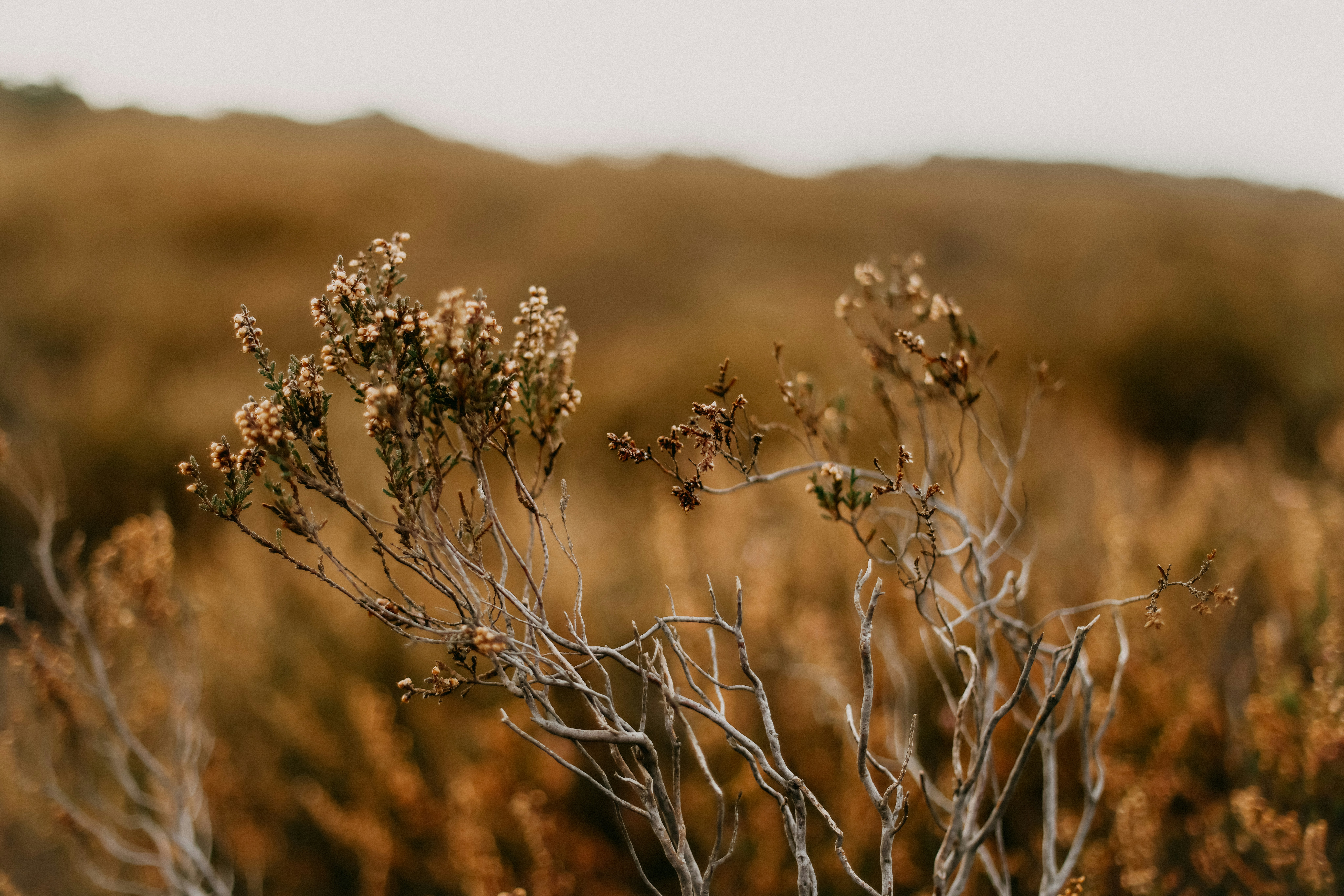 Photo by anniespratt