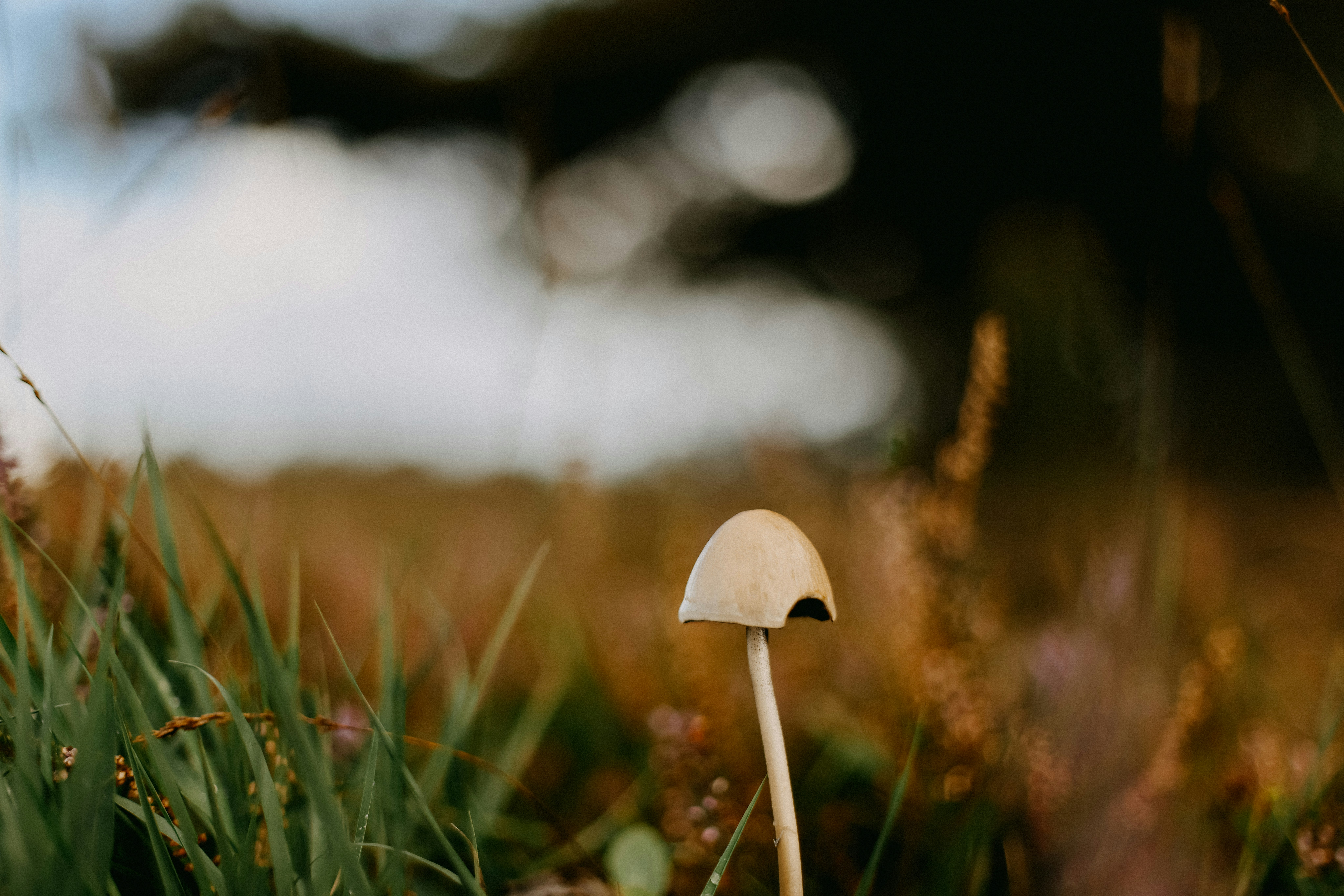 Photo by anniespratt