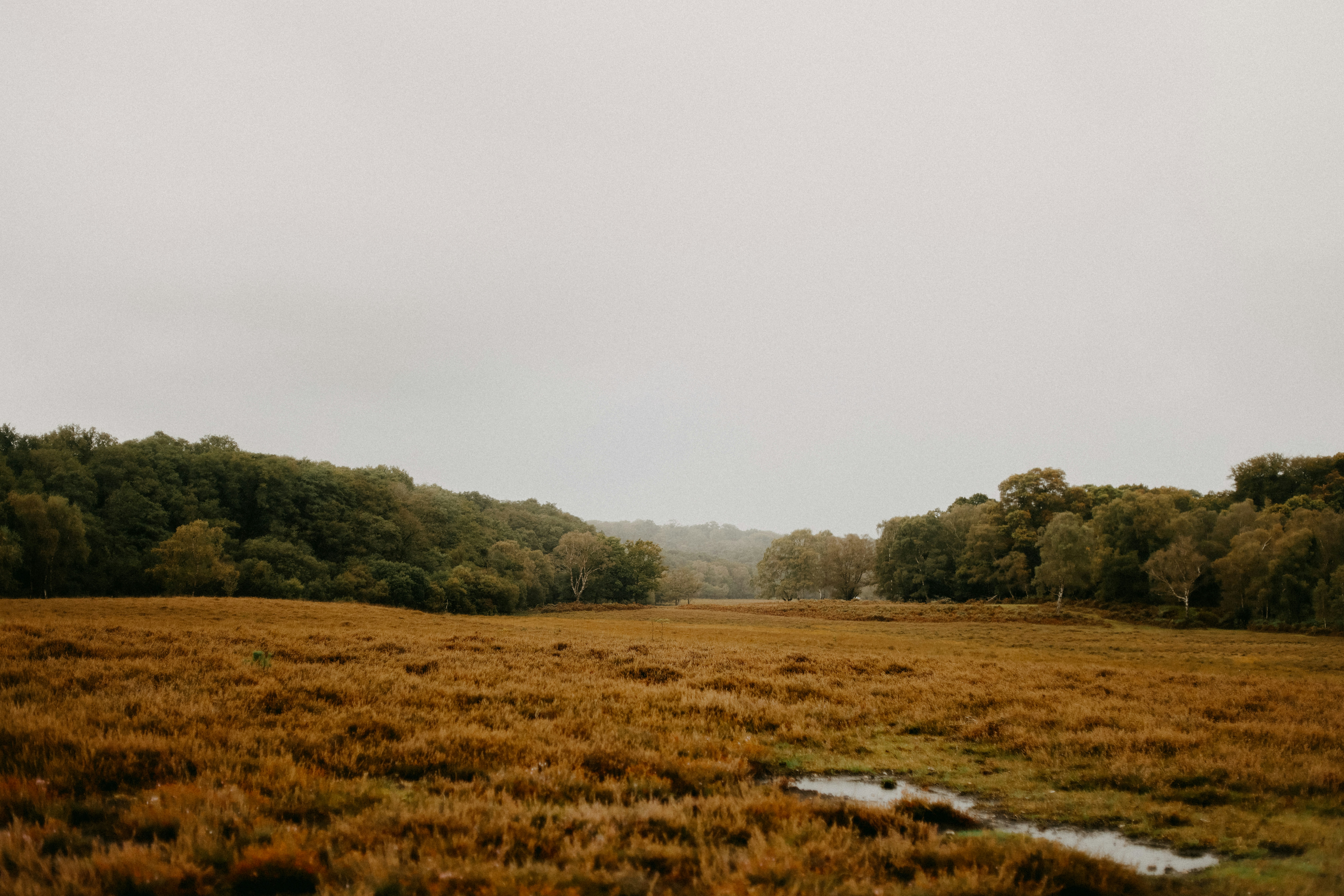 Photo by anniespratt