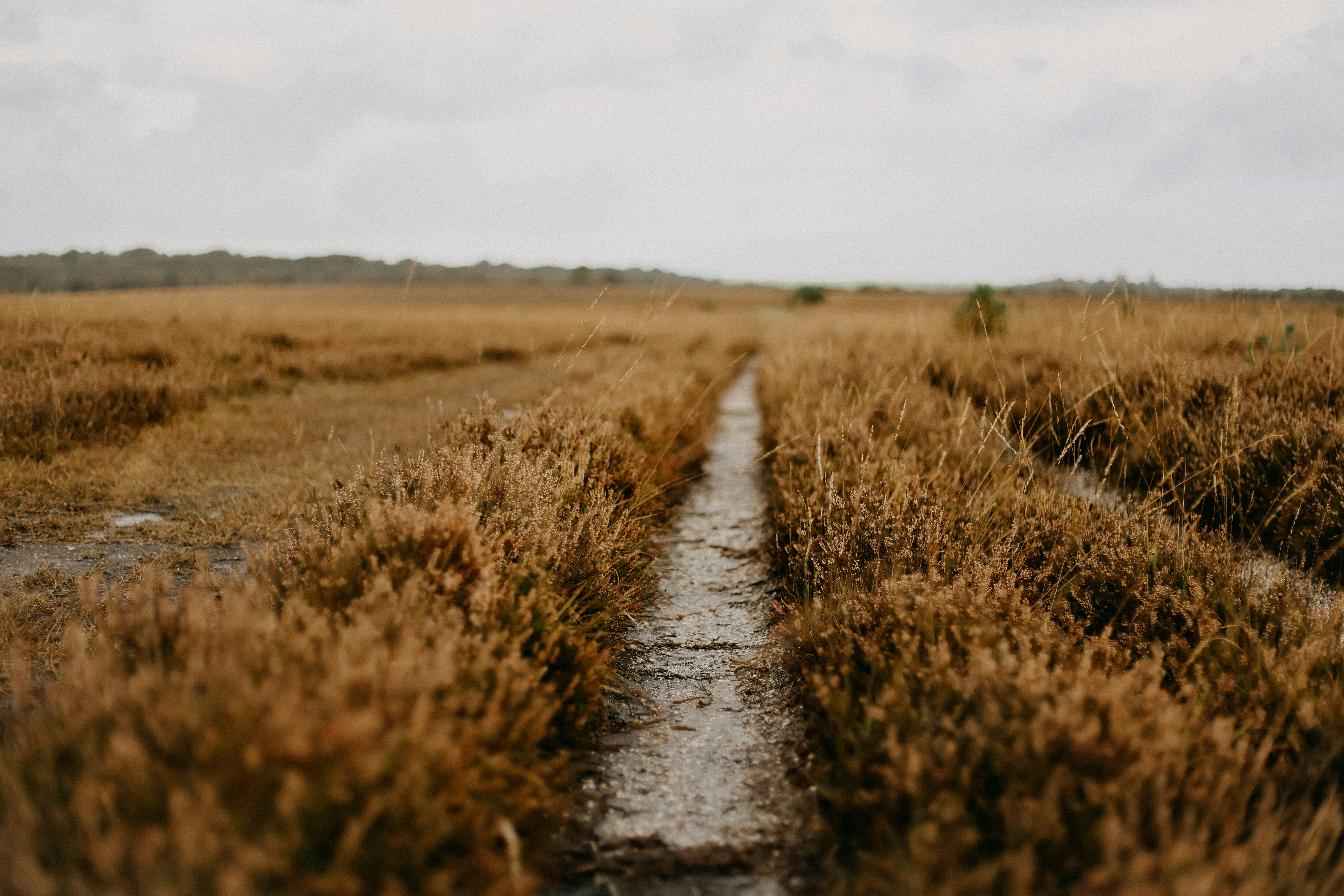 Photo by anniespratt