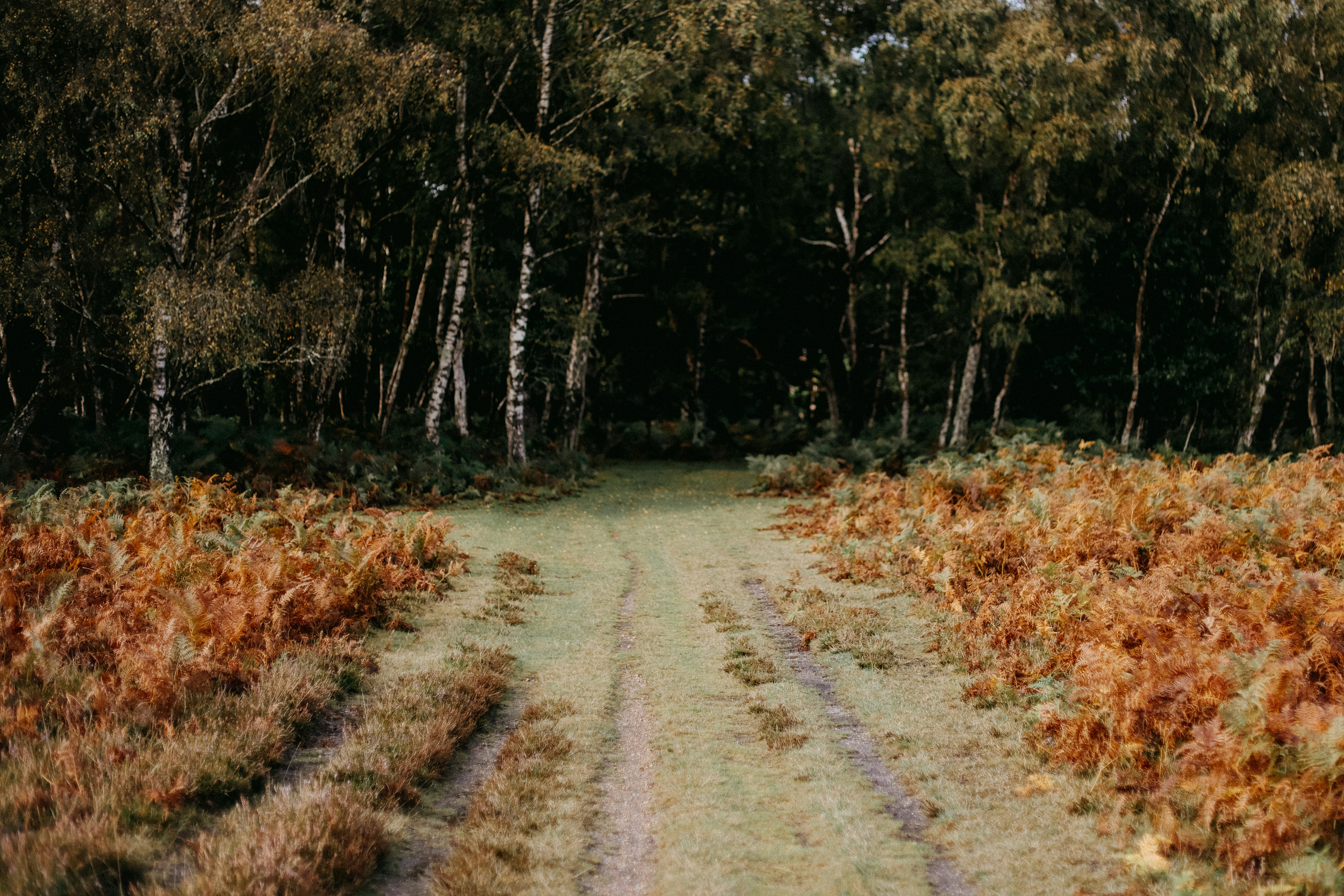 Photo by anniespratt