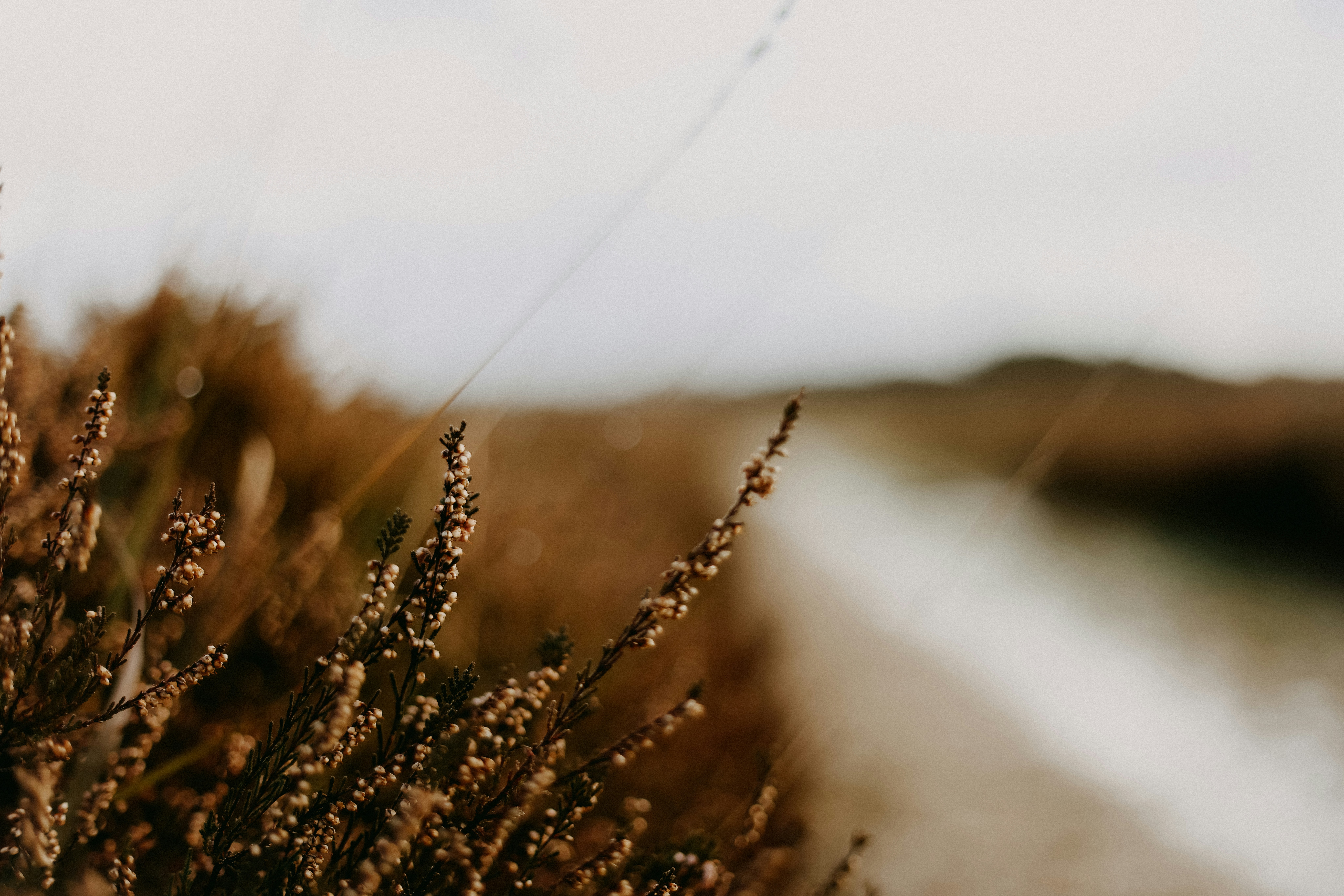 Photo by anniespratt