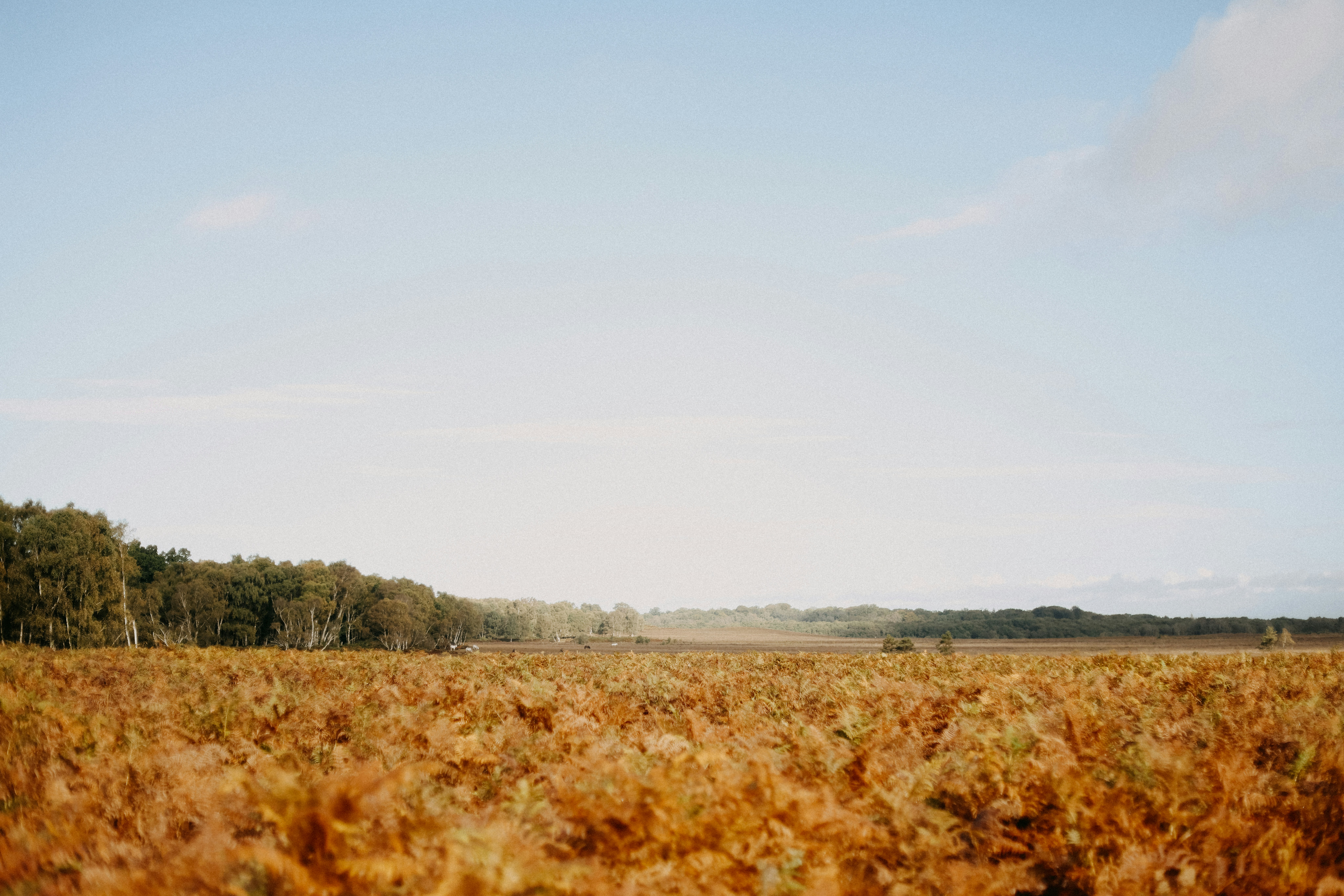 Photo by anniespratt