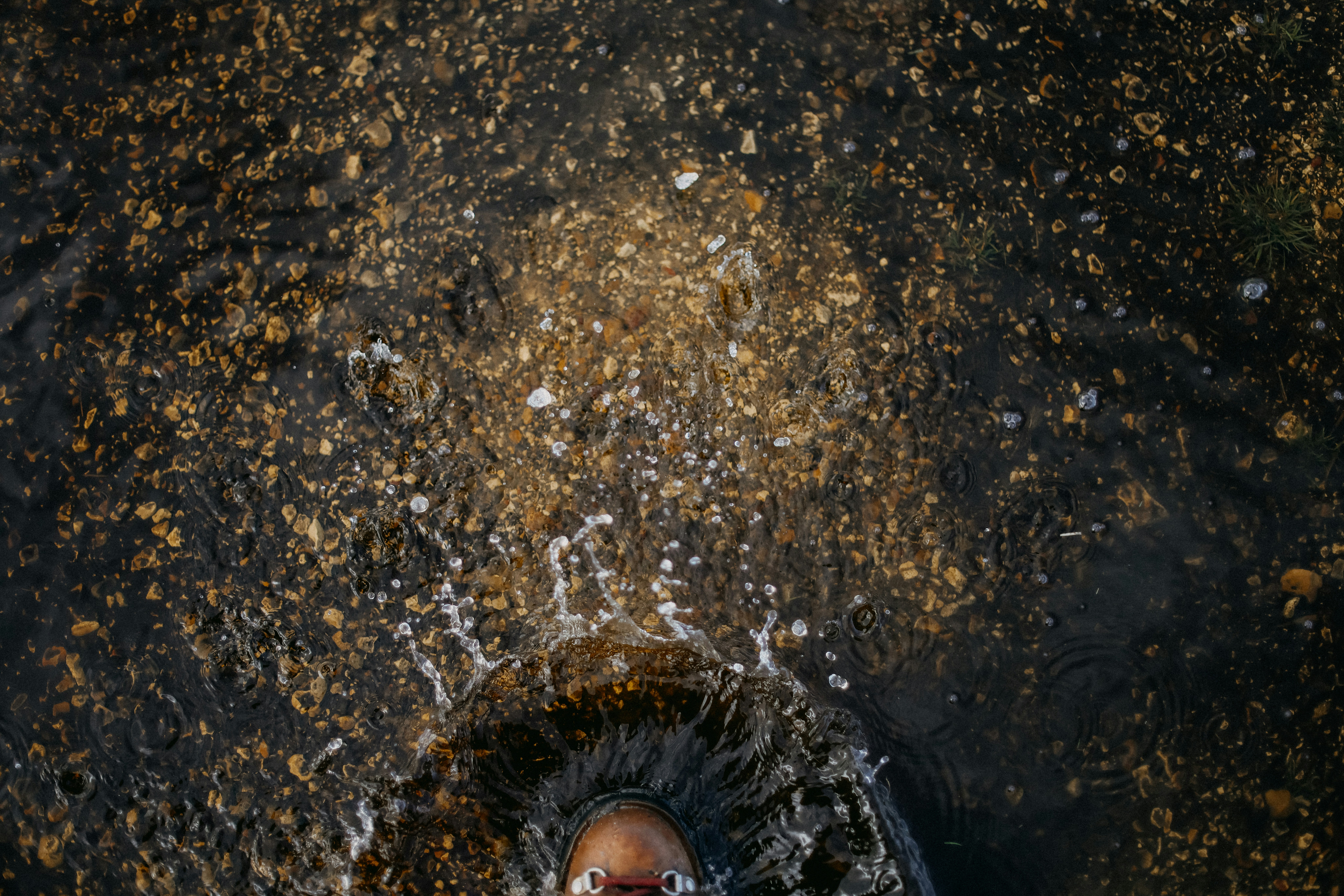 전자레인지 사용 시 플러그 연결 방법에 대한 안내