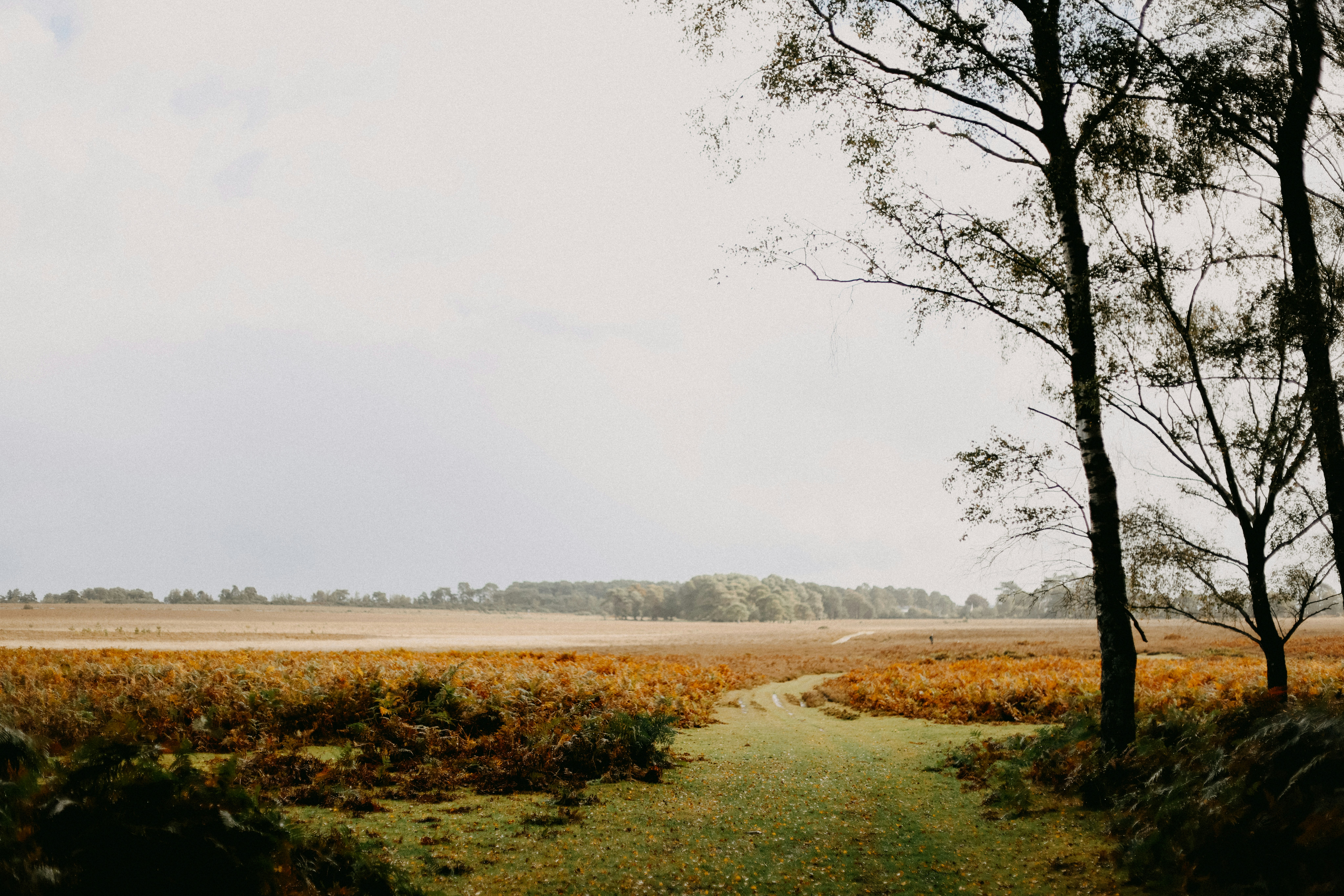 Photo by anniespratt