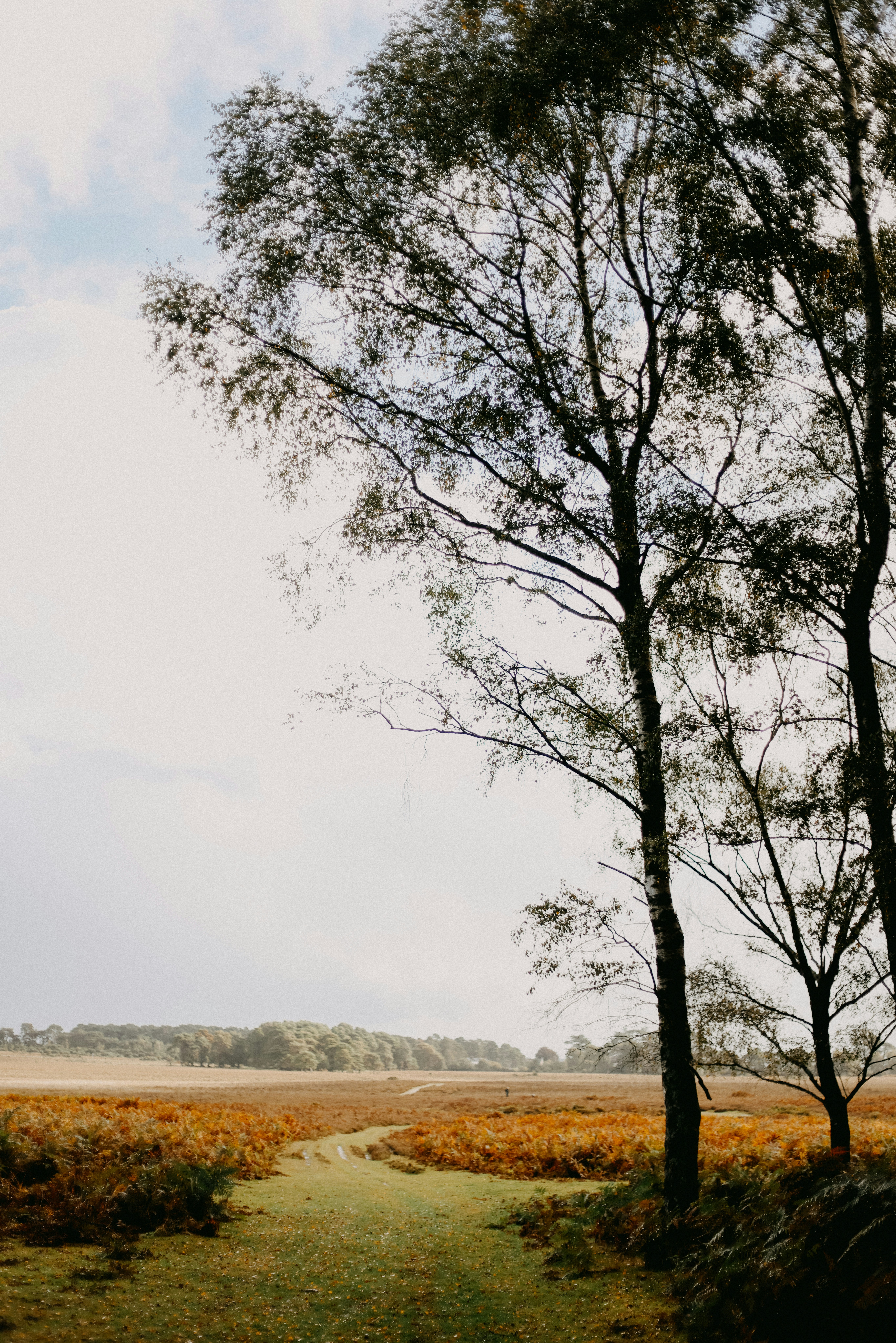 Photo by anniespratt