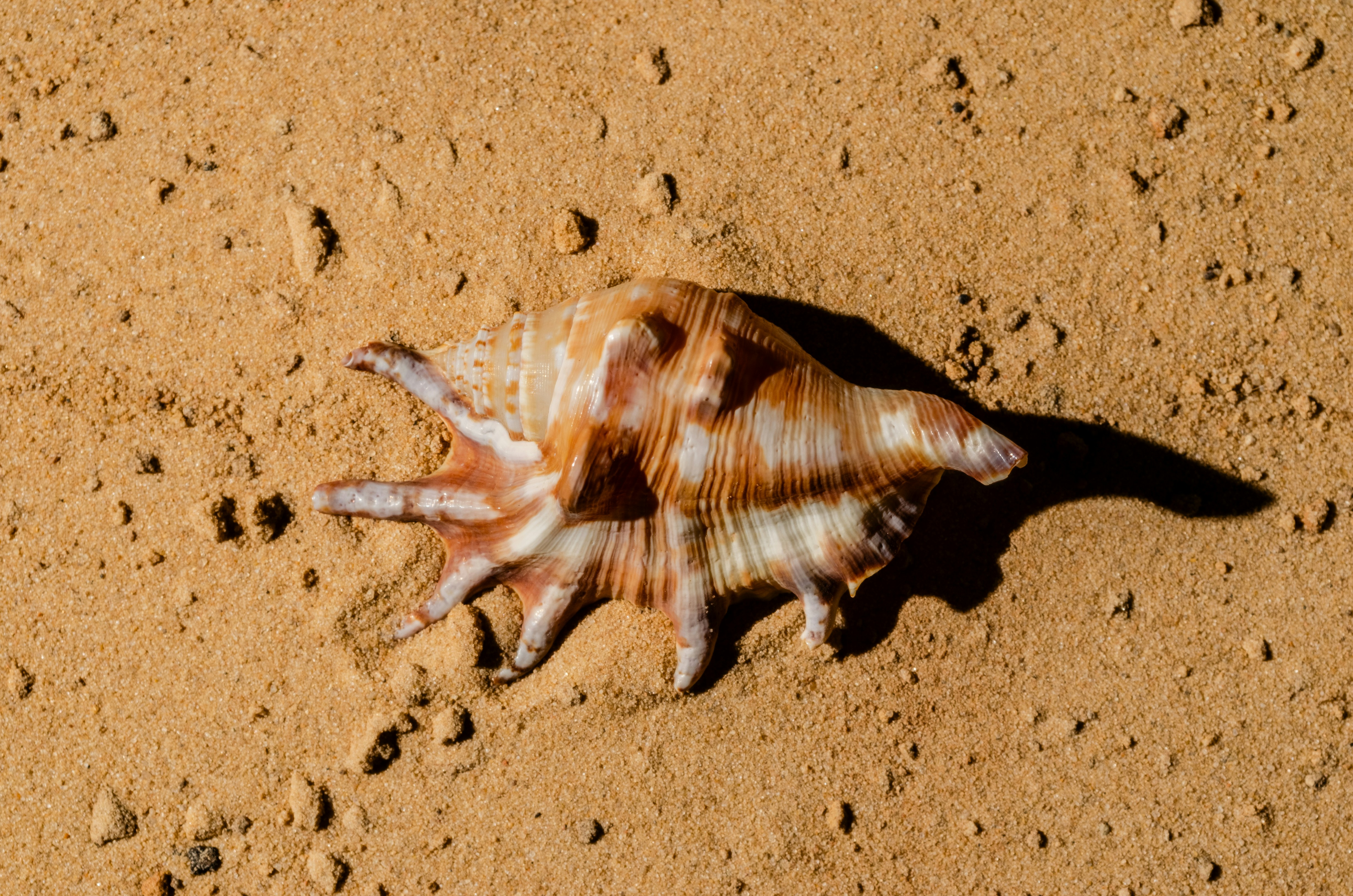 Photo by andrilliardbond