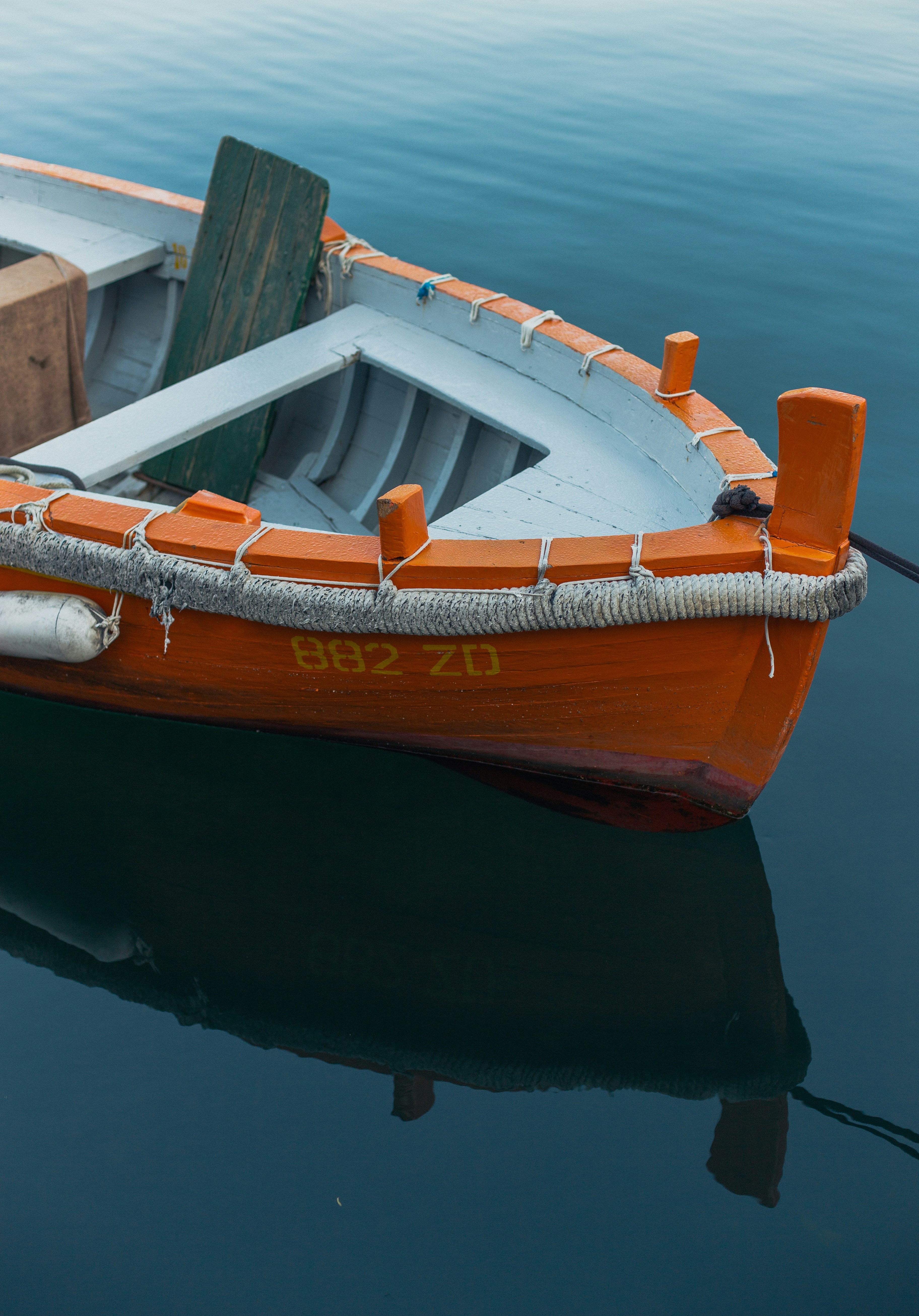 Photo by raymondpetrik