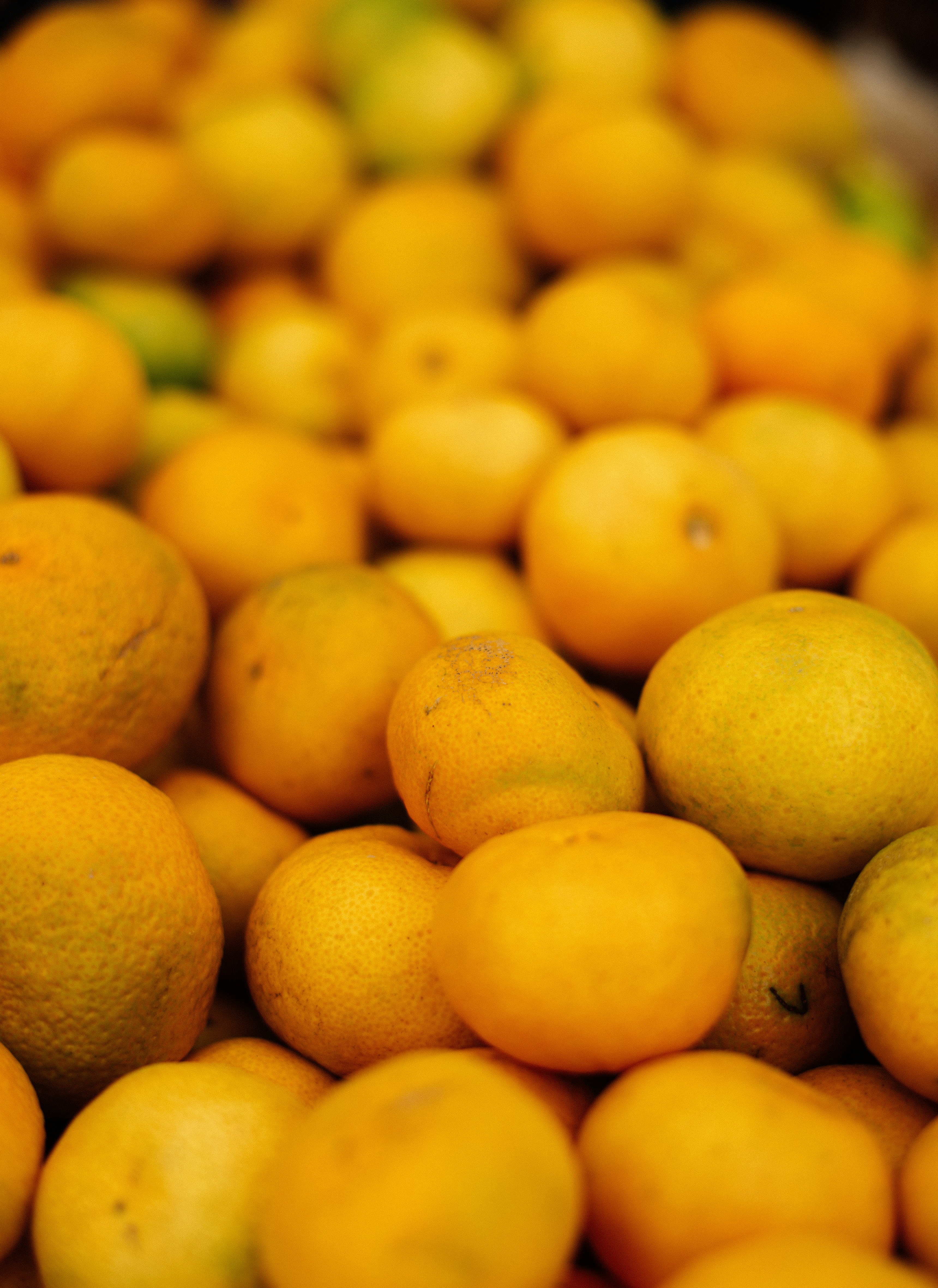 Photo by raymondpetrik