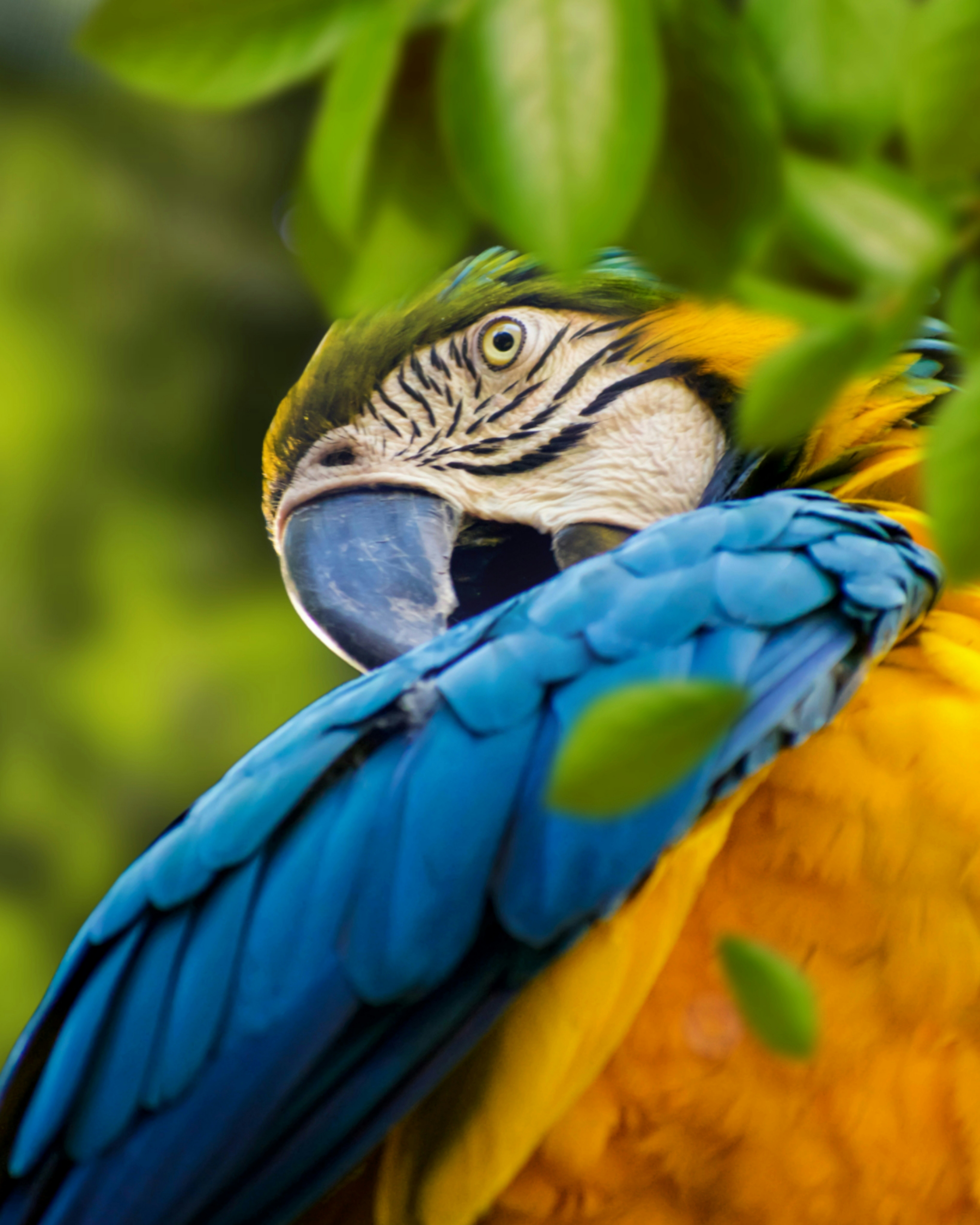 Encouraging Independence (image credits: unsplash)