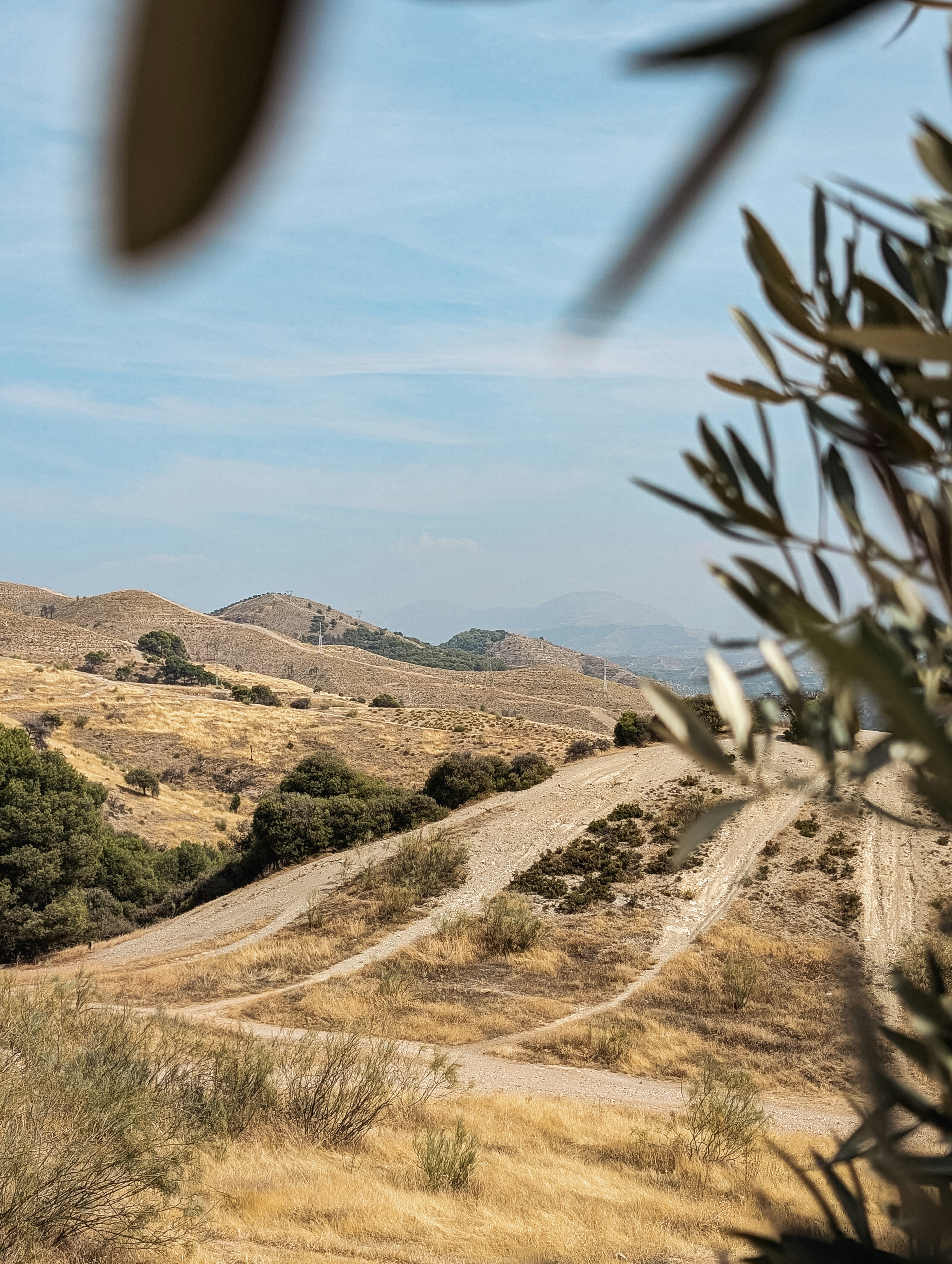 A dirt road in the middle of a field
