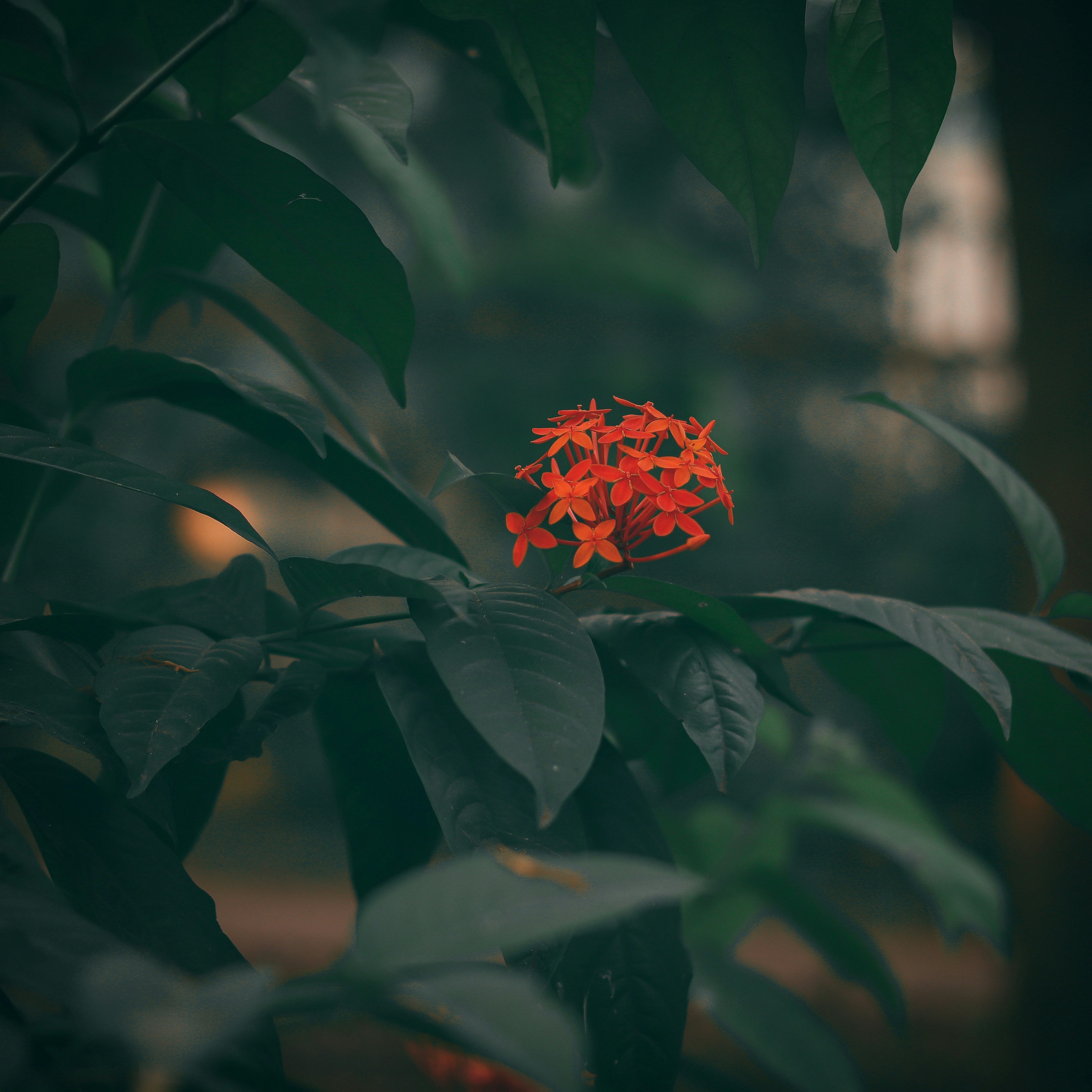 Photo by zayed_ahmed_zadu