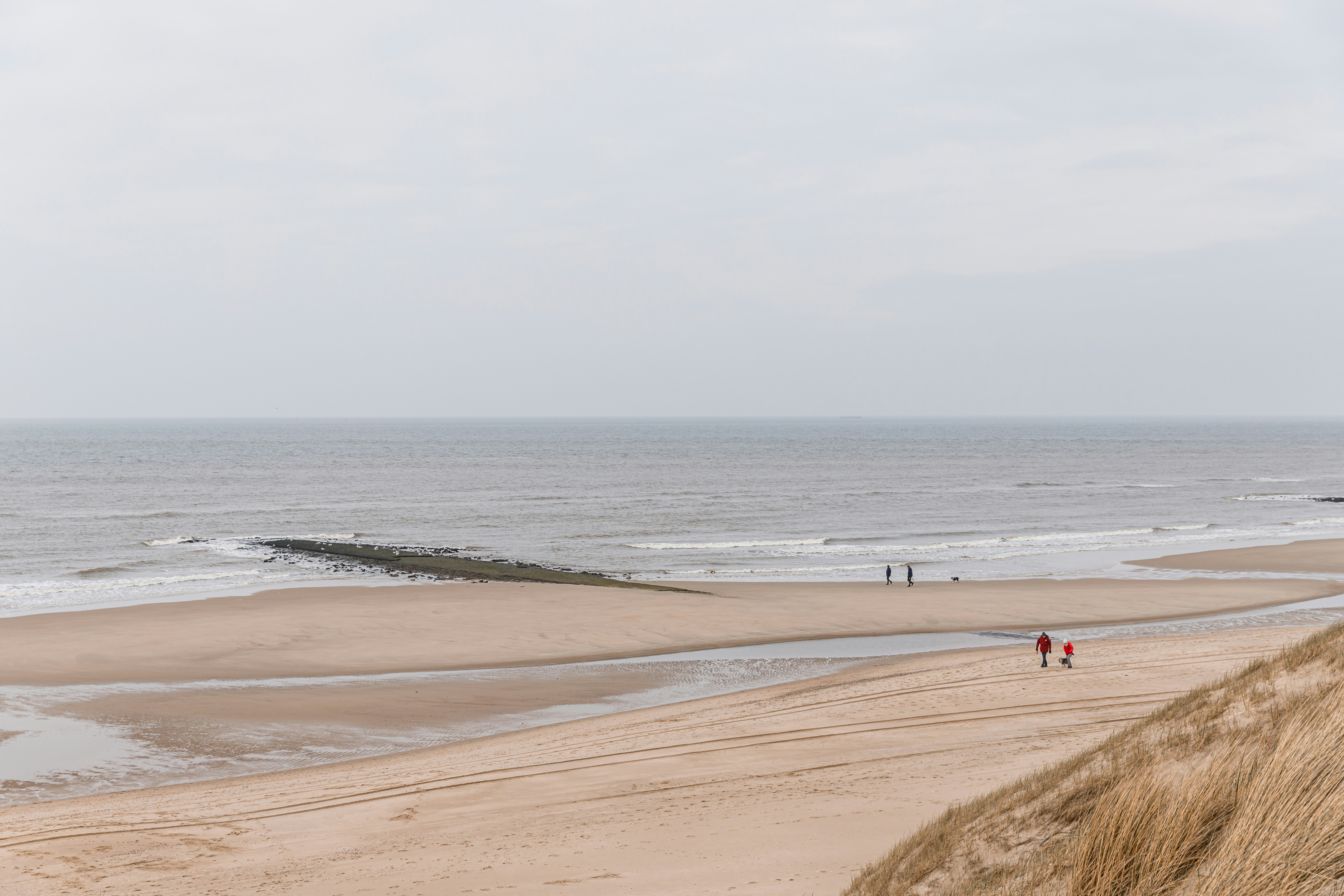 A group of people standing on top of a sandy beach