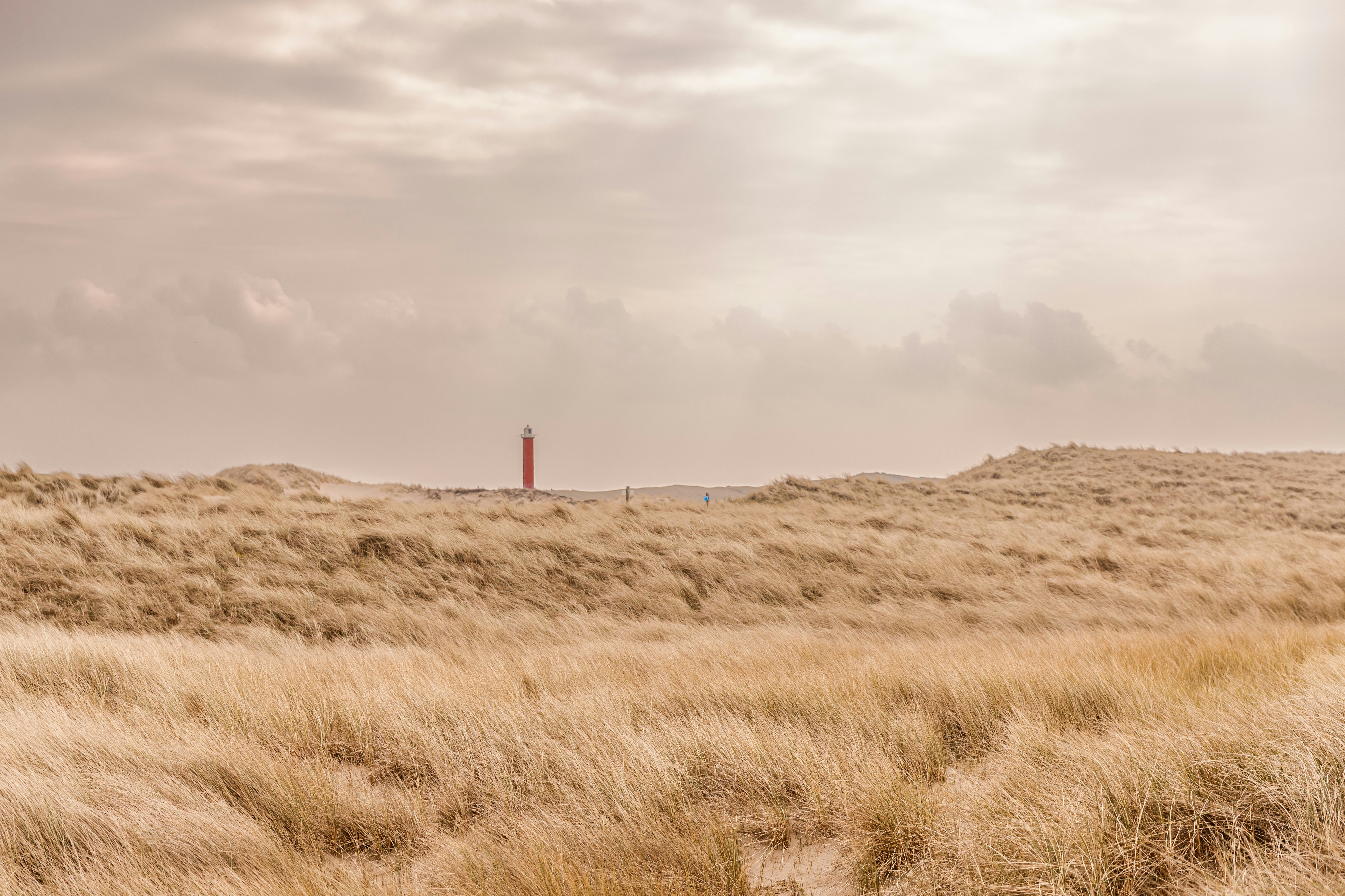 Afbeelding van Callantsoog